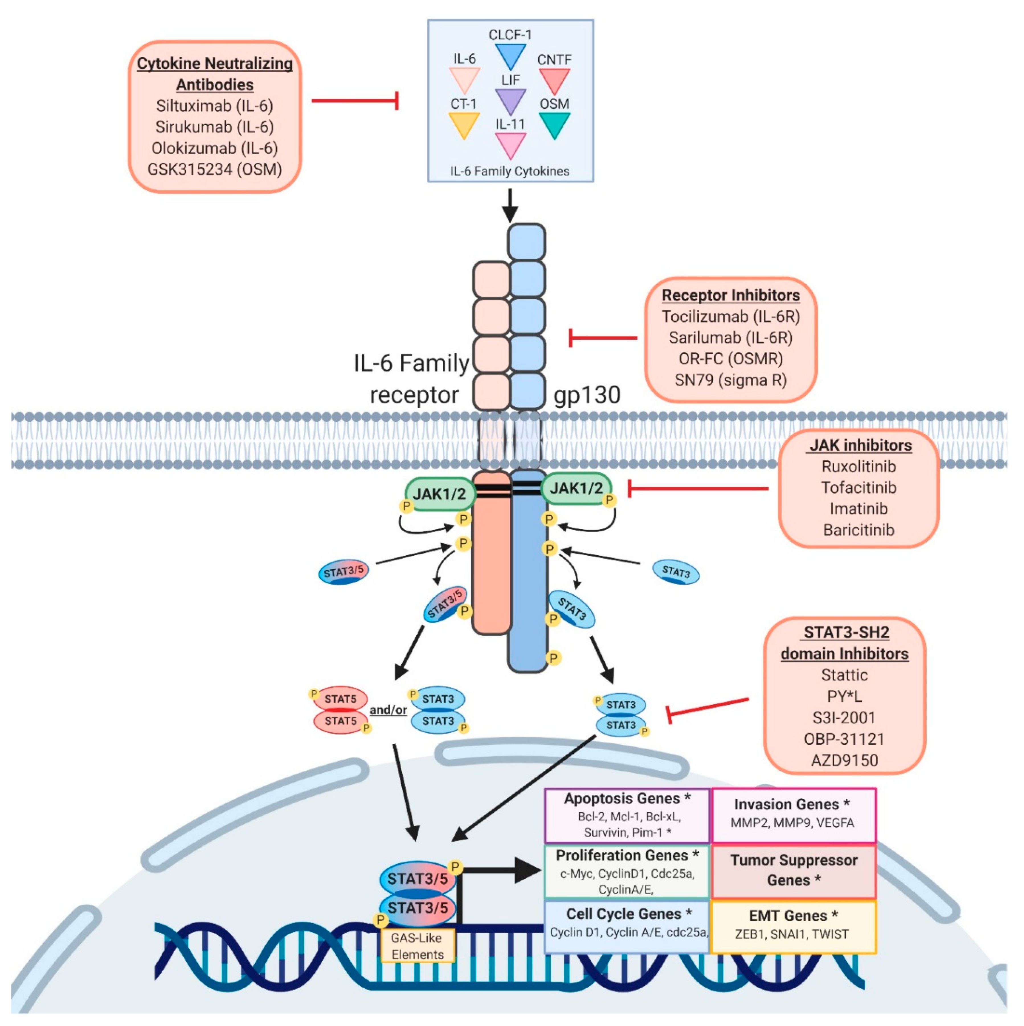 Cancers 11 01716 g001
