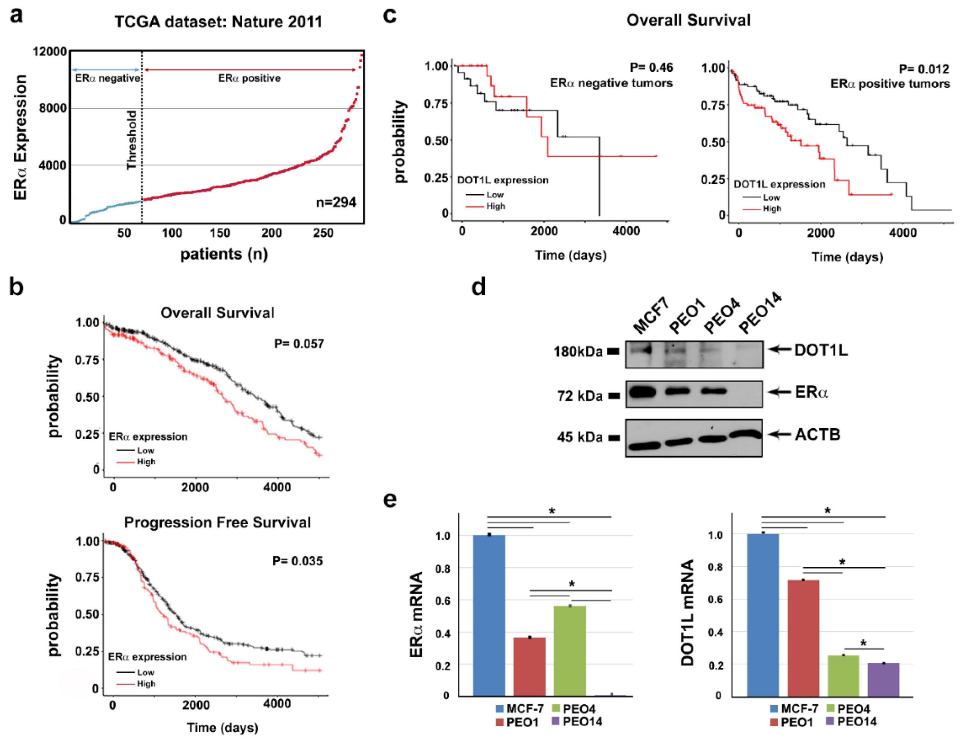 Cancers 11 01720 g001