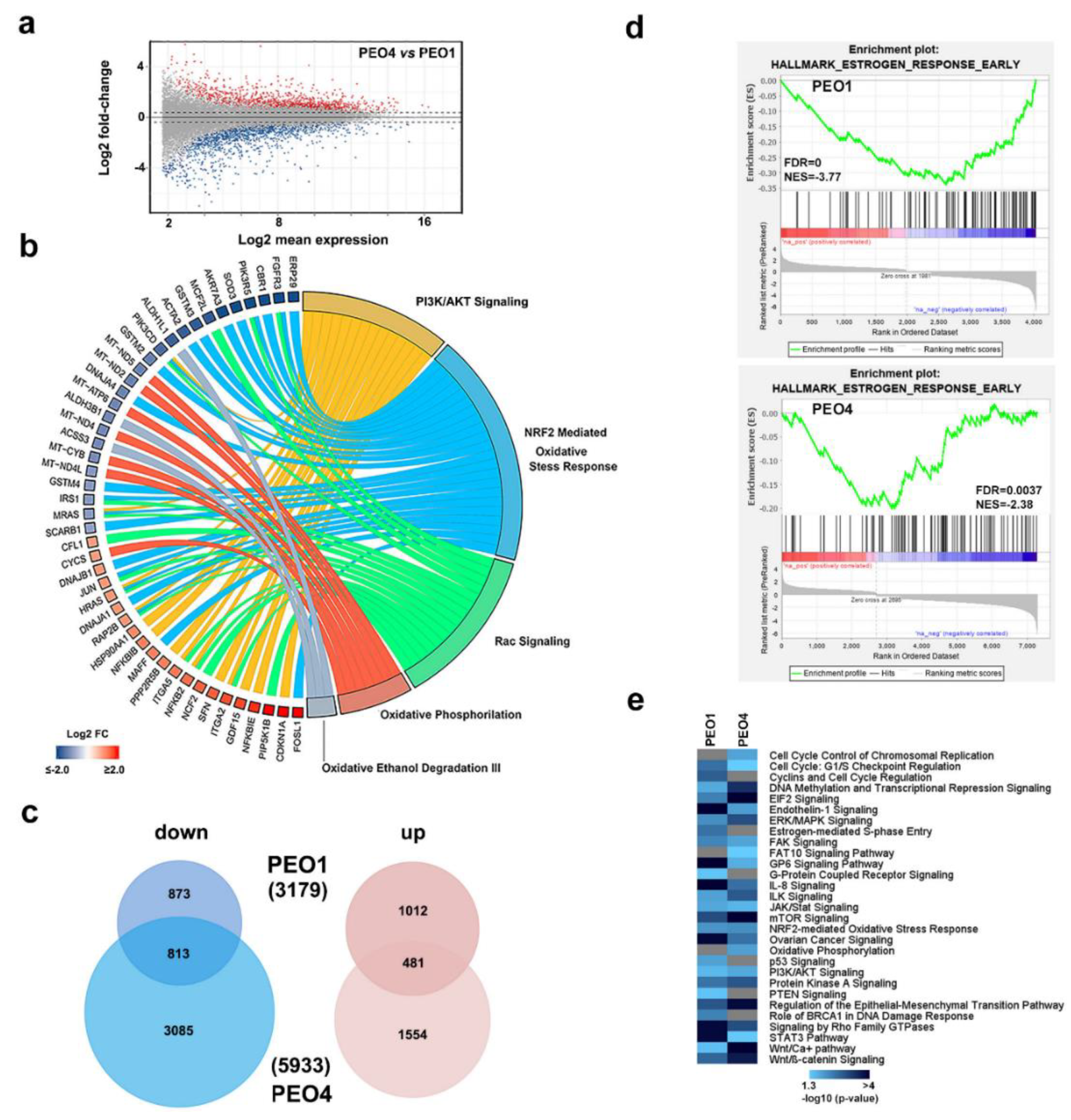 Cancers 11 01720 g002