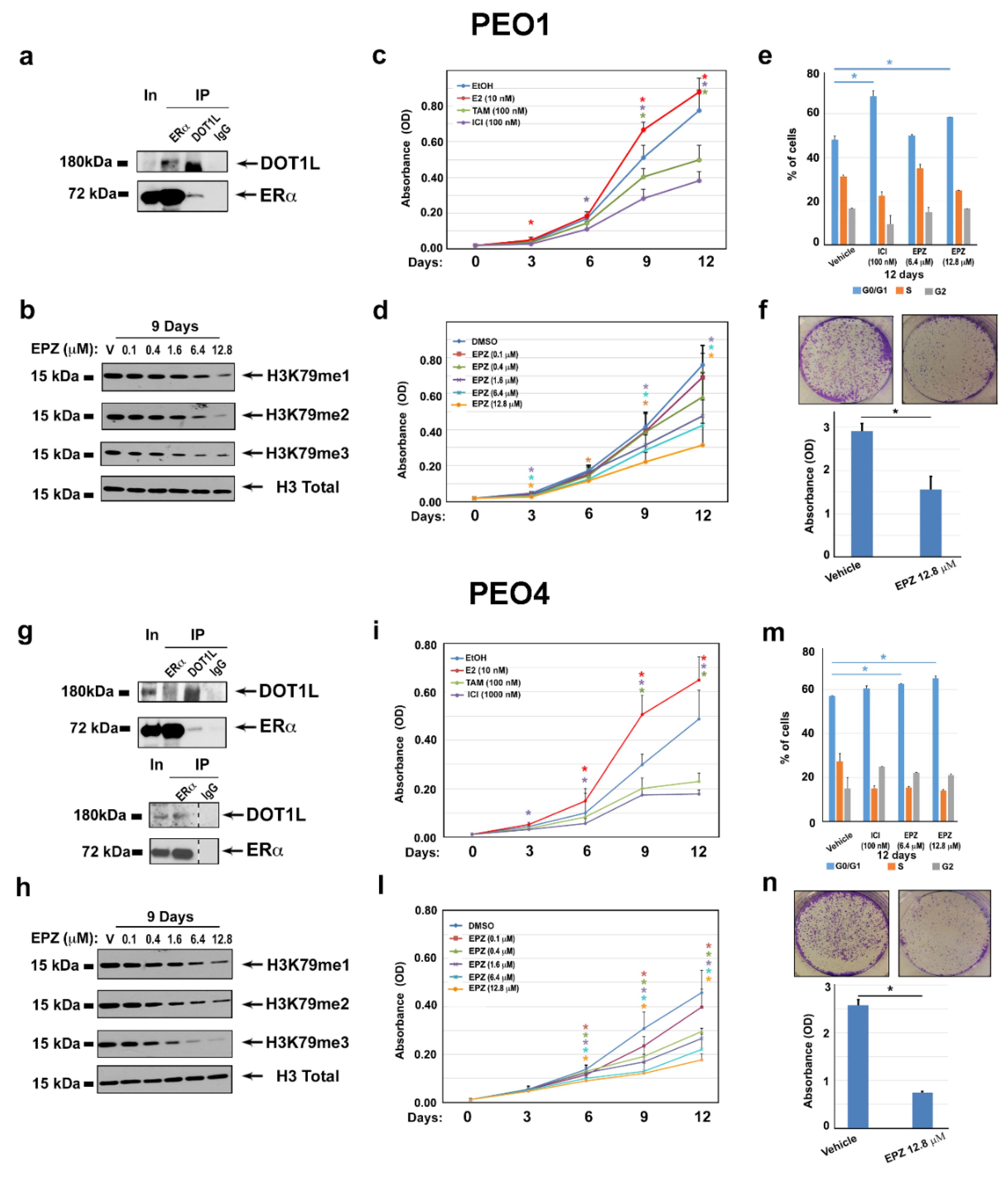 Cancers 11 01720 g003