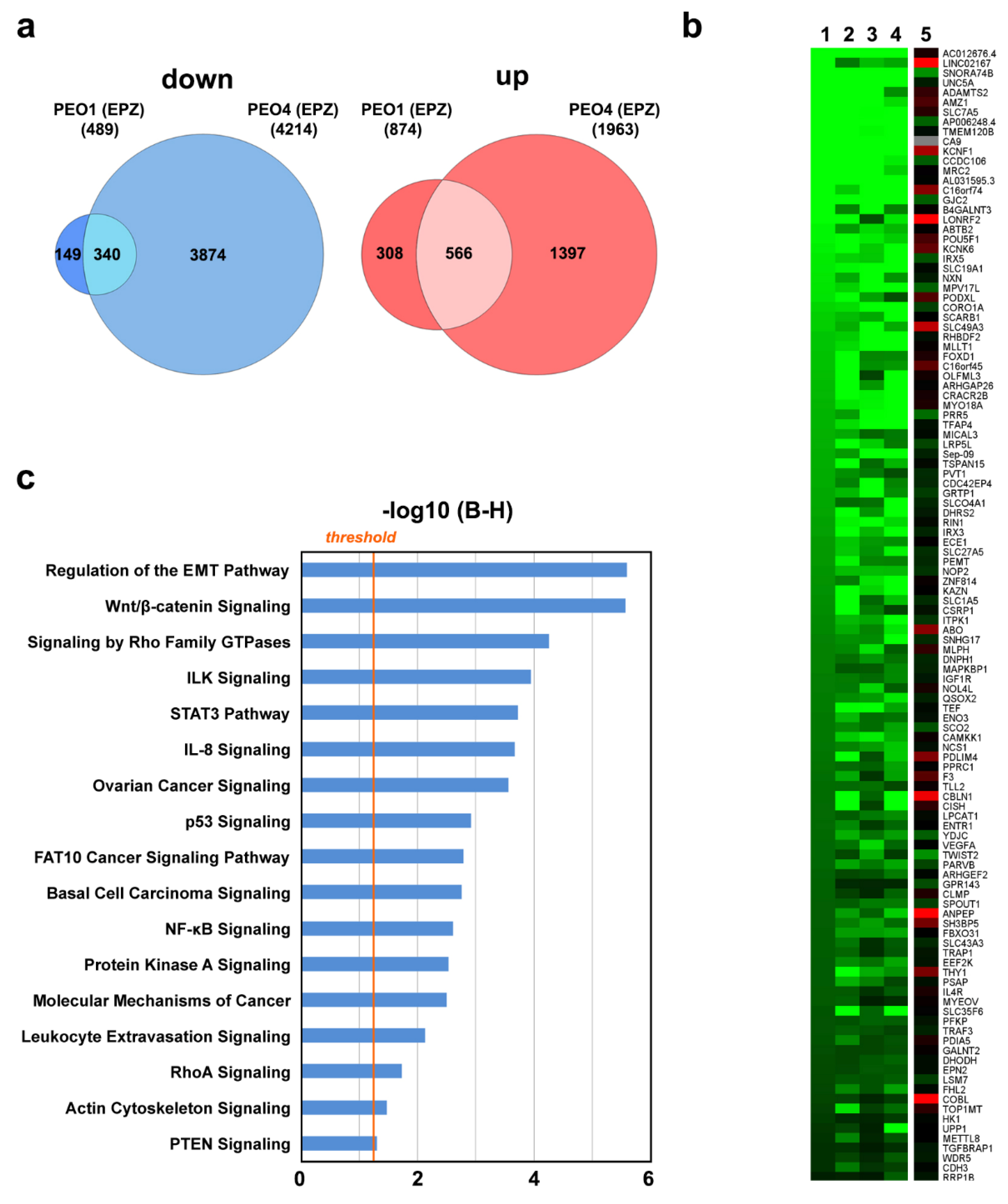 Cancers 11 01720 g004