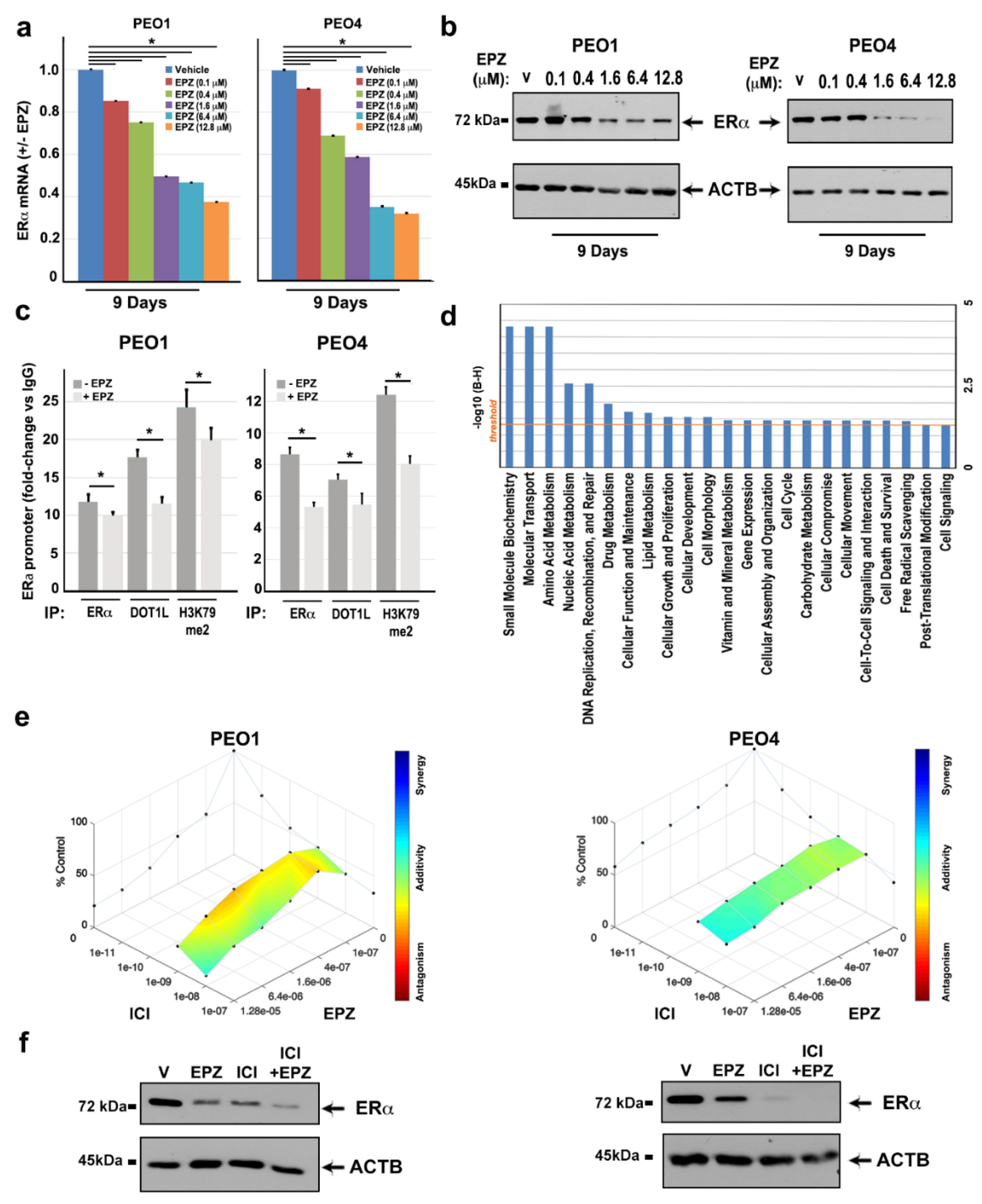 Cancers 11 01720 g005