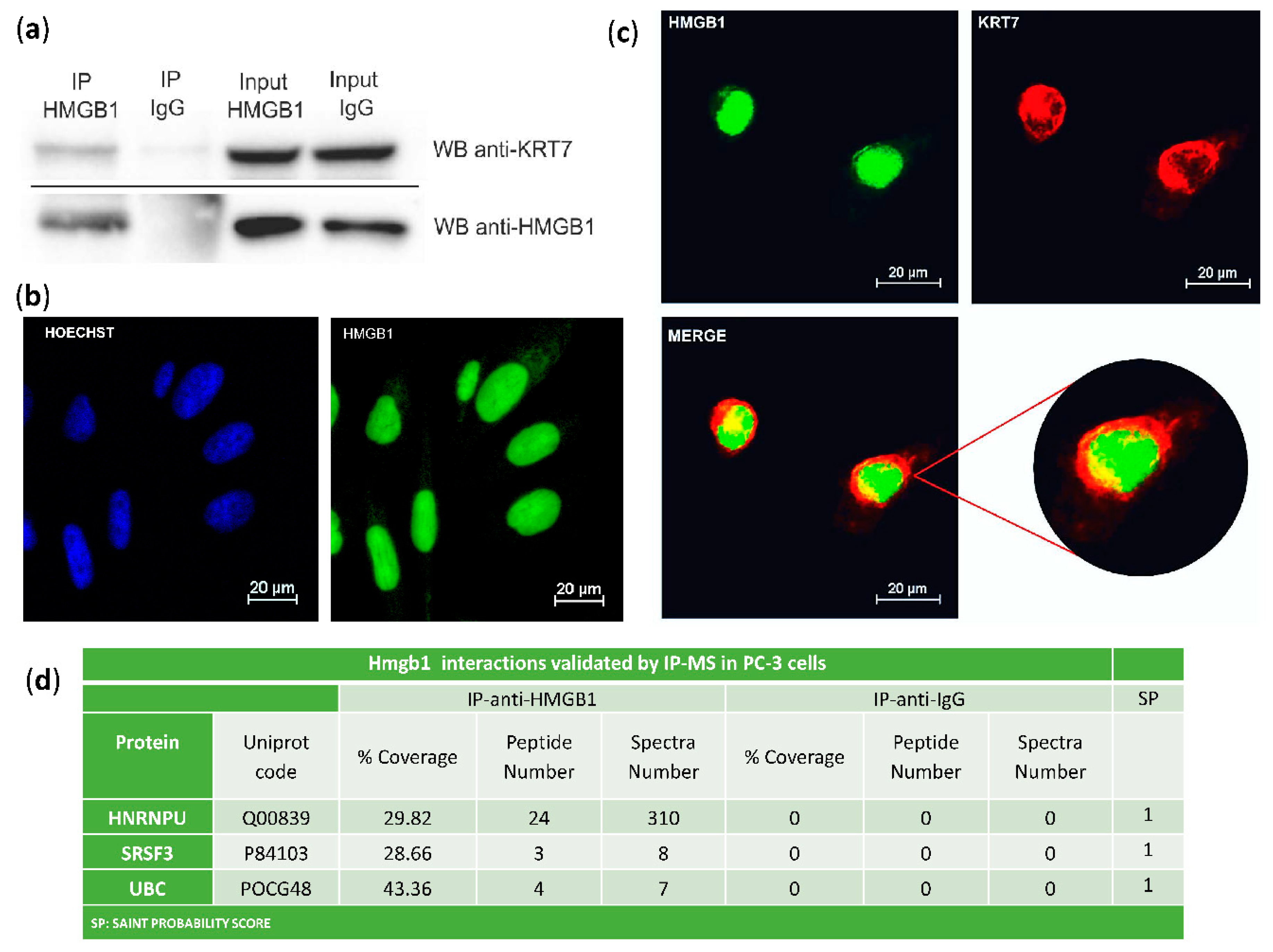 Cancers 11 01729 g002
