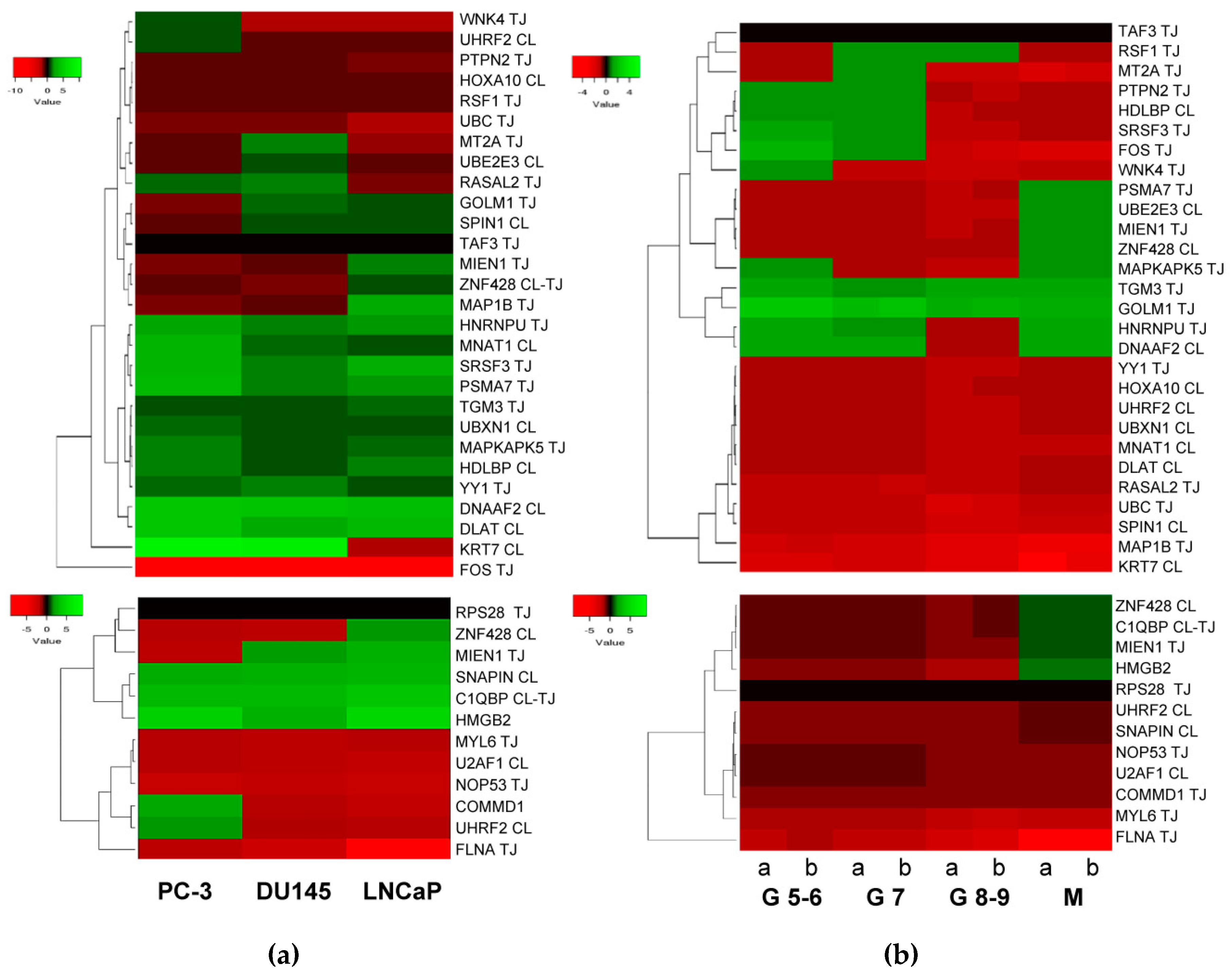 Cancers 11 01729 g005