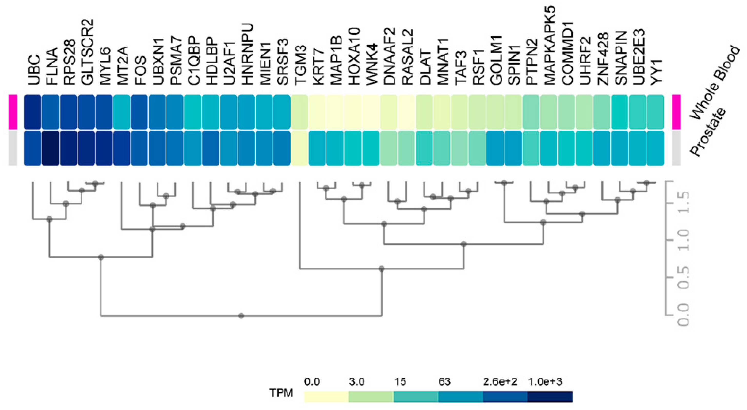 Cancers 11 01729 g007