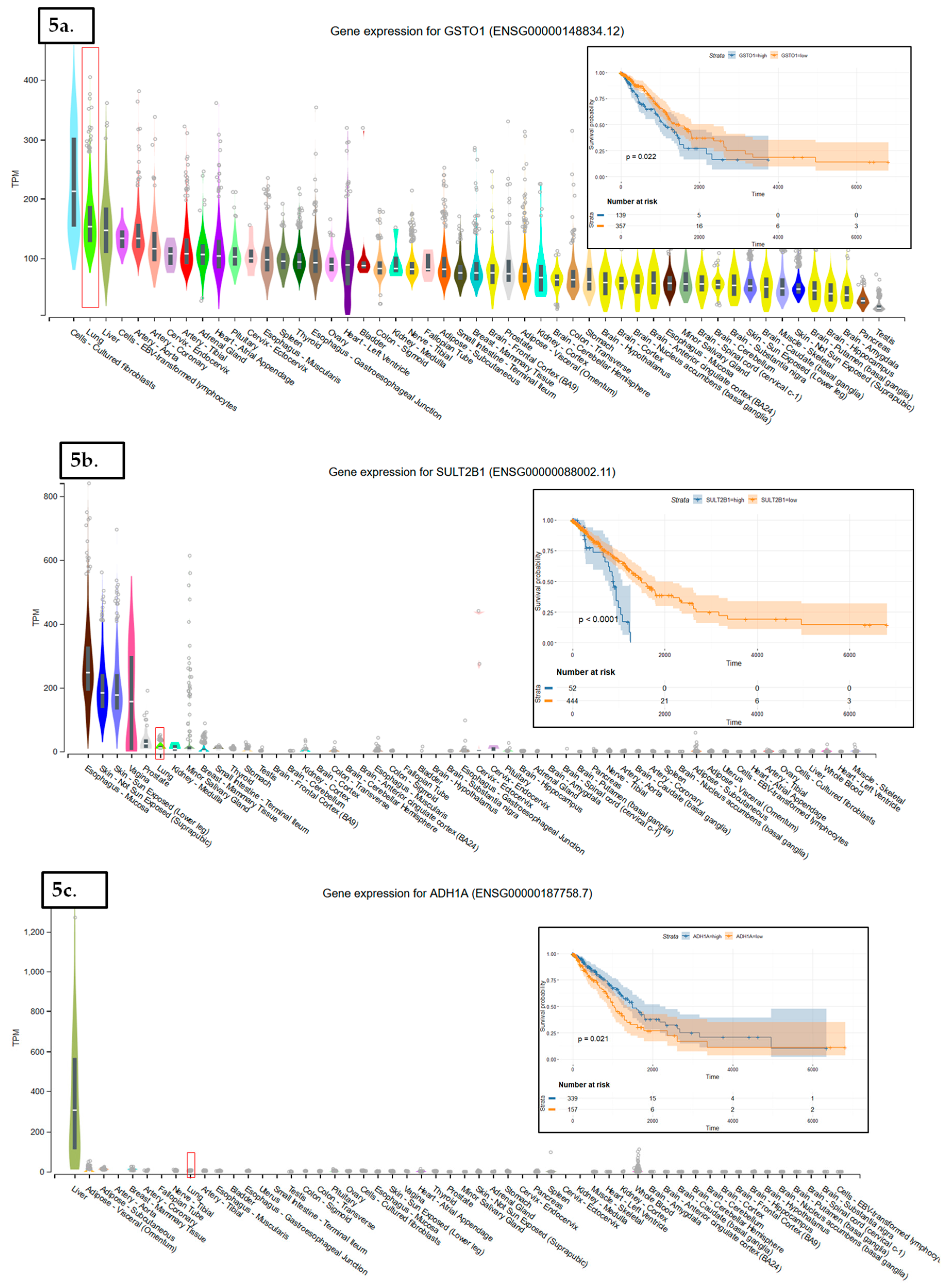 Cancers 11 01755 g005a