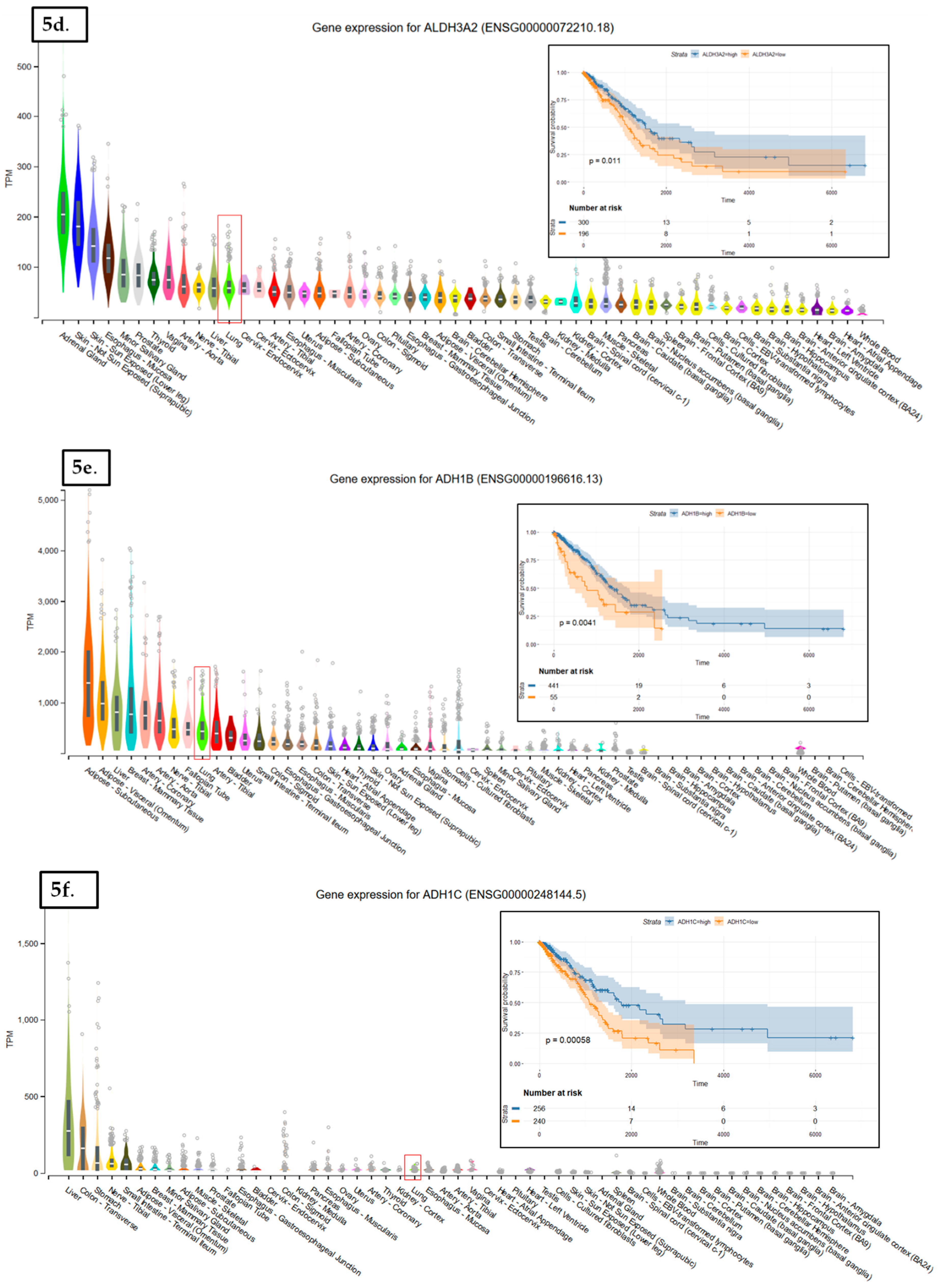 Cancers 11 01755 g005b