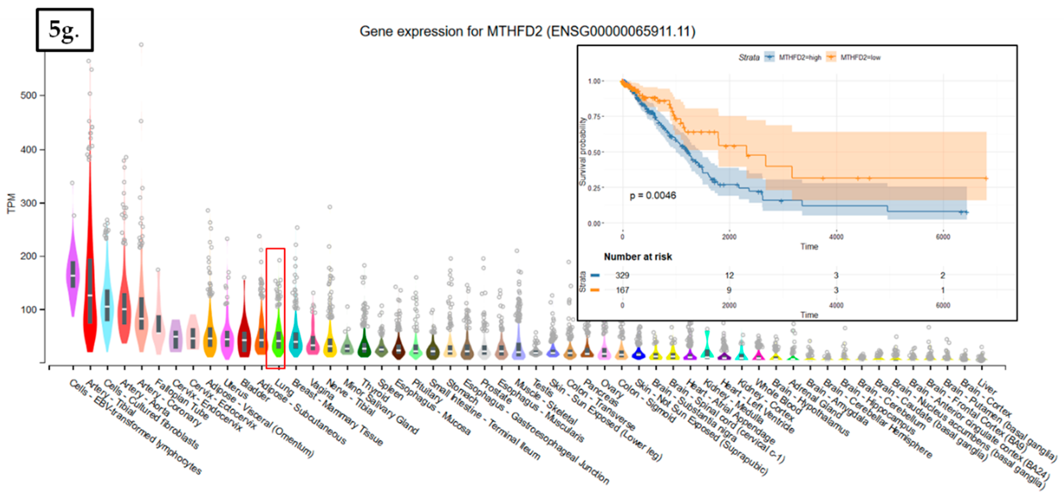 Cancers 11 01755 g005c