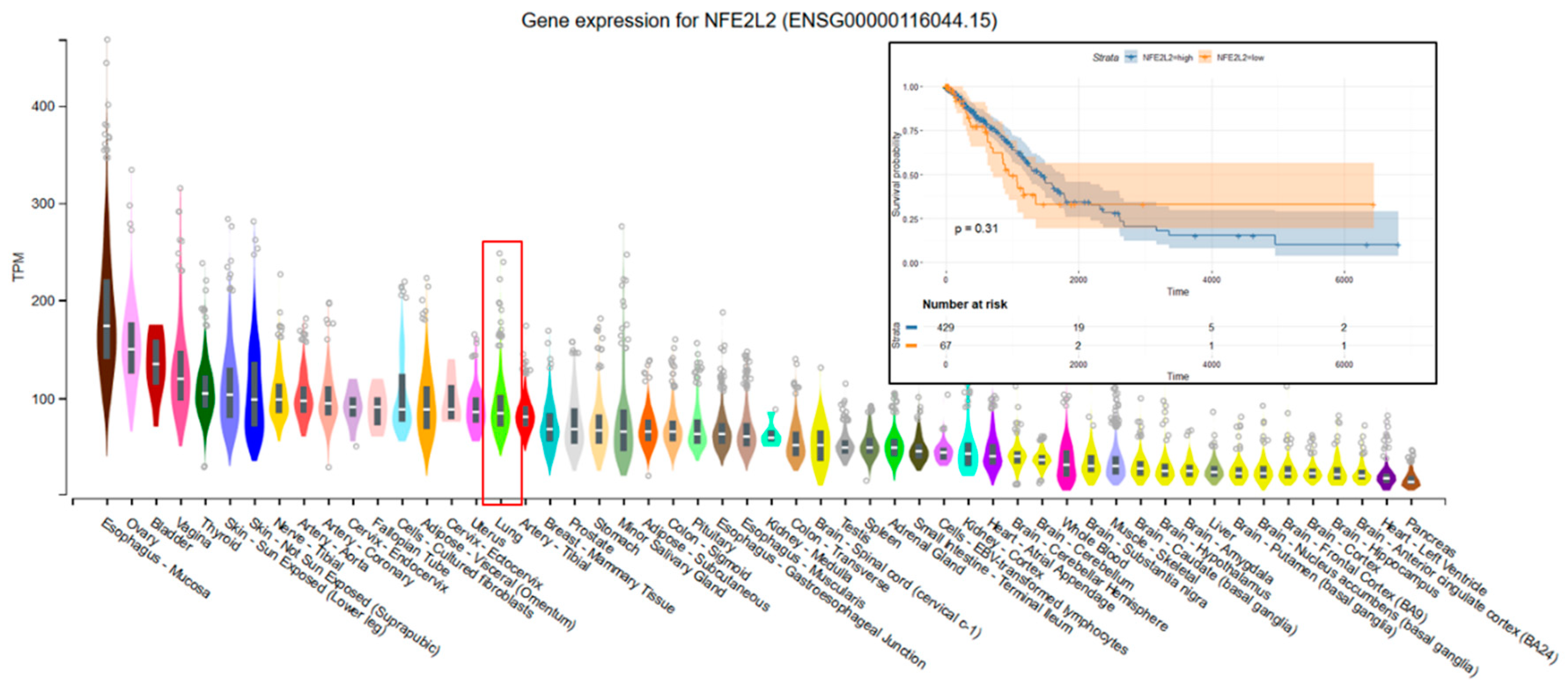 Cancers 11 01755 g006