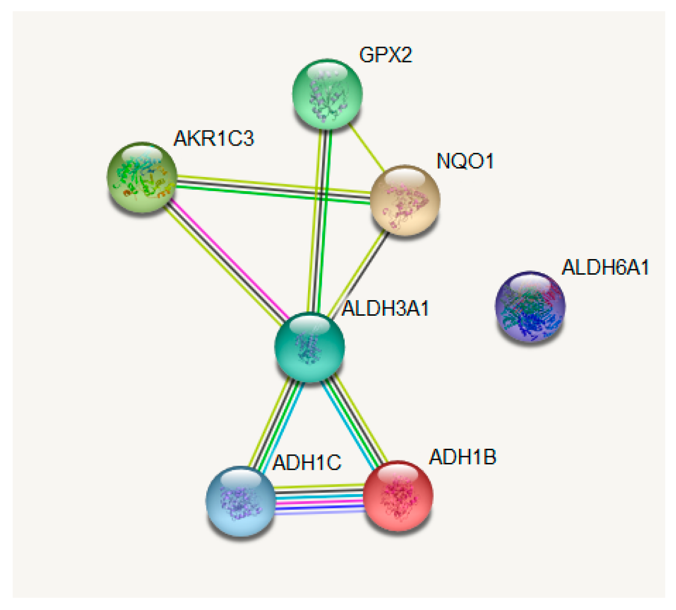 Cancers 11 01755 g007