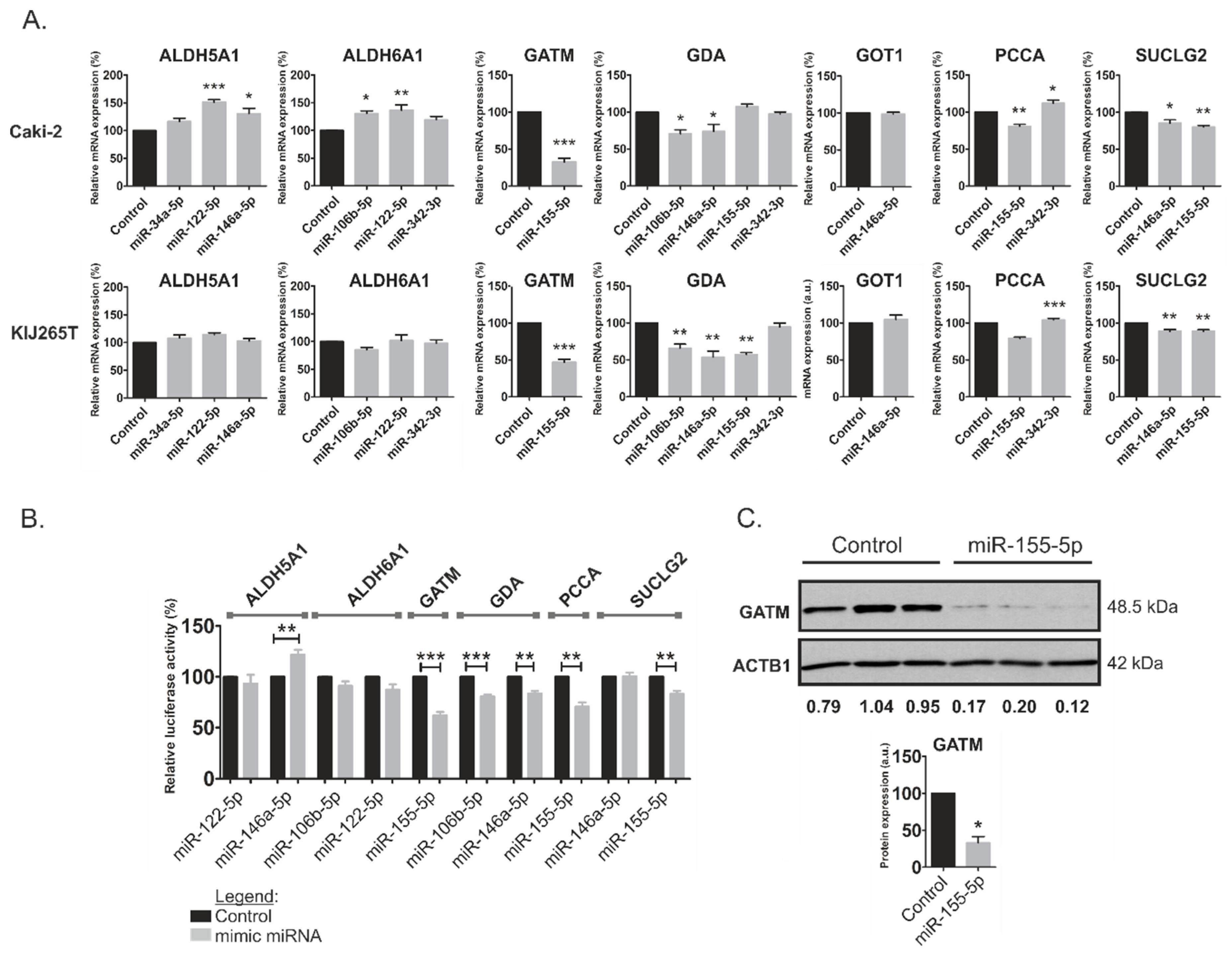 Cancers 11 01825 g002