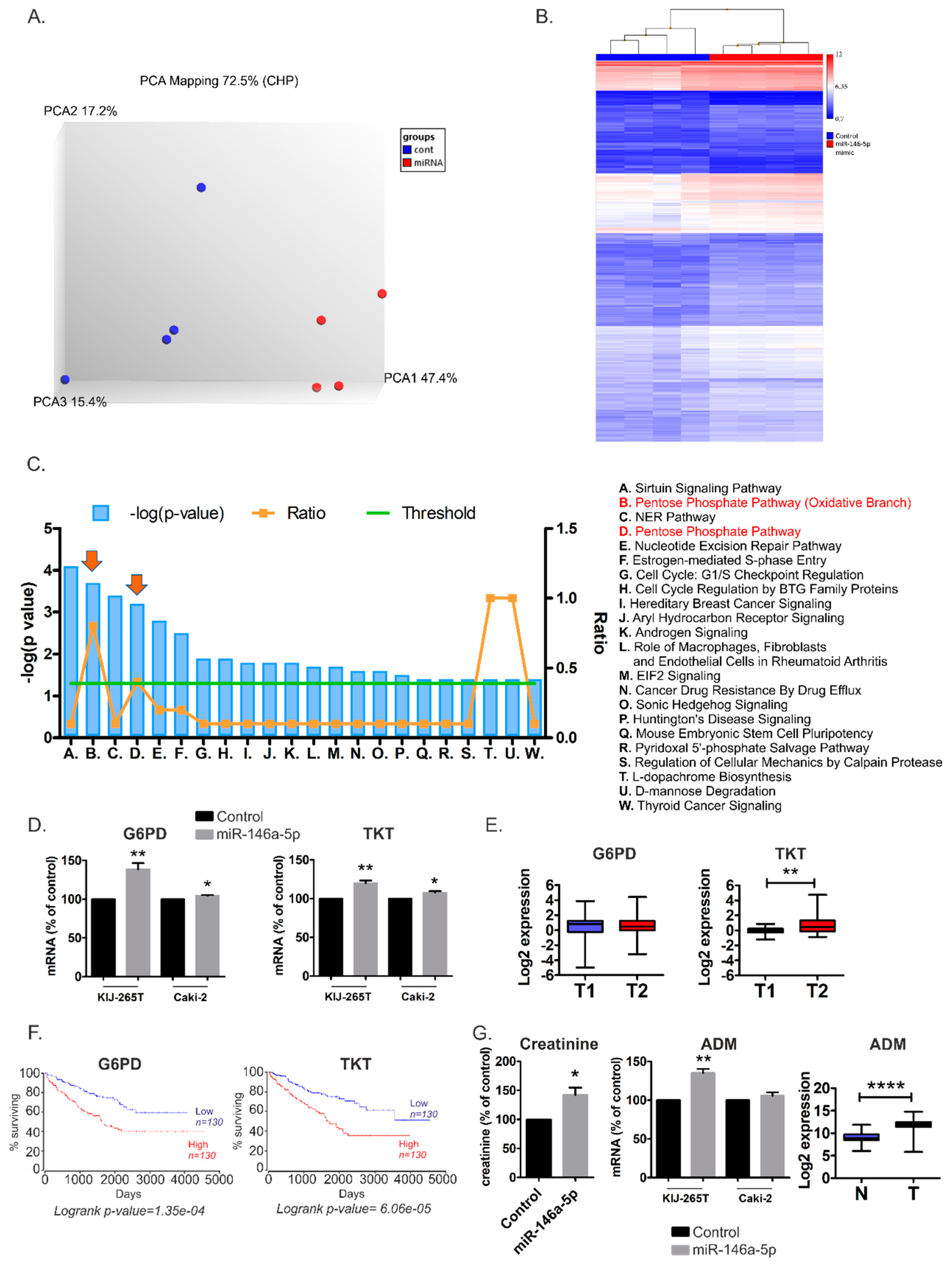 Cancers 11 01825 g004