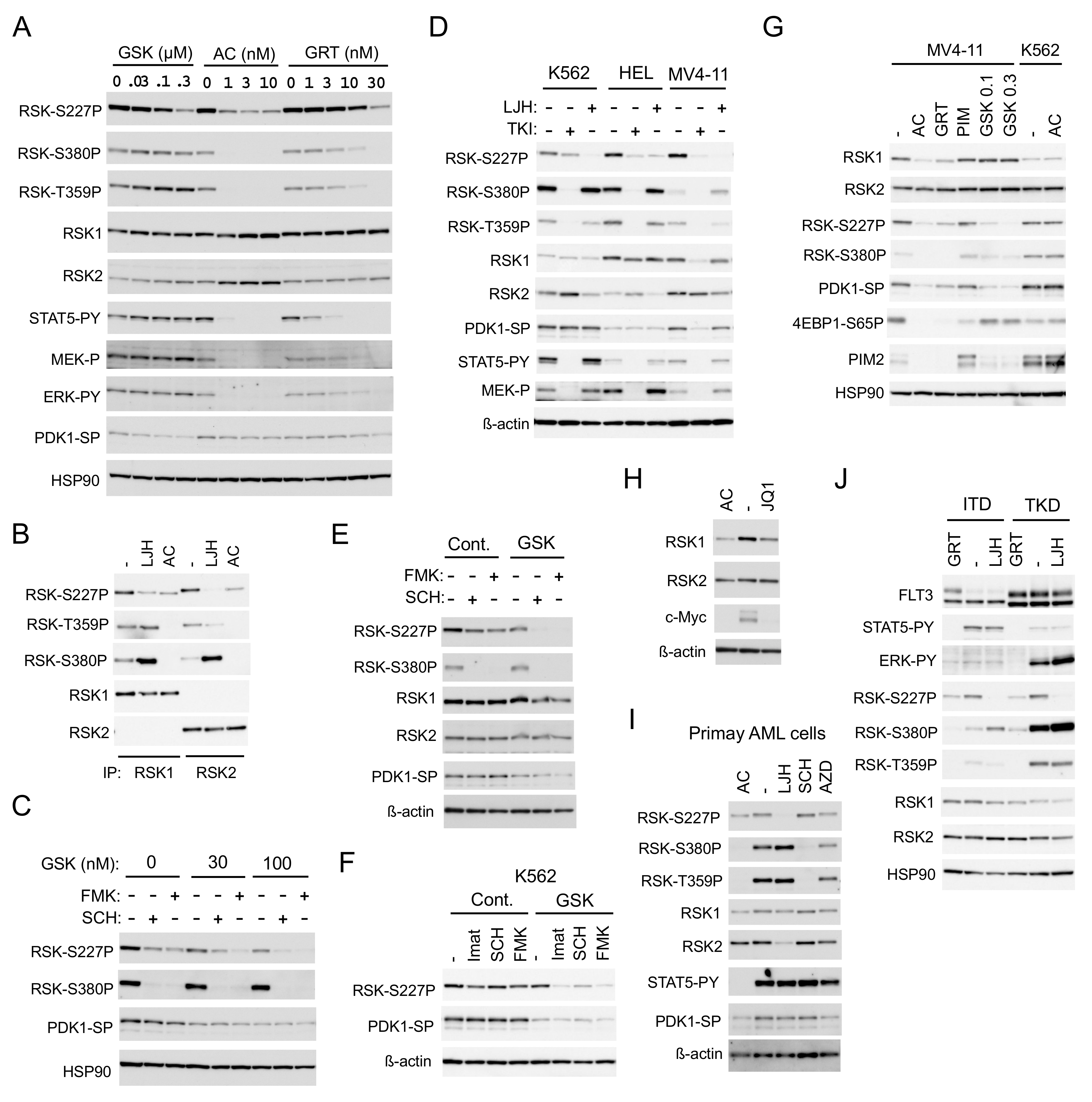Cancers 11 01827 g003