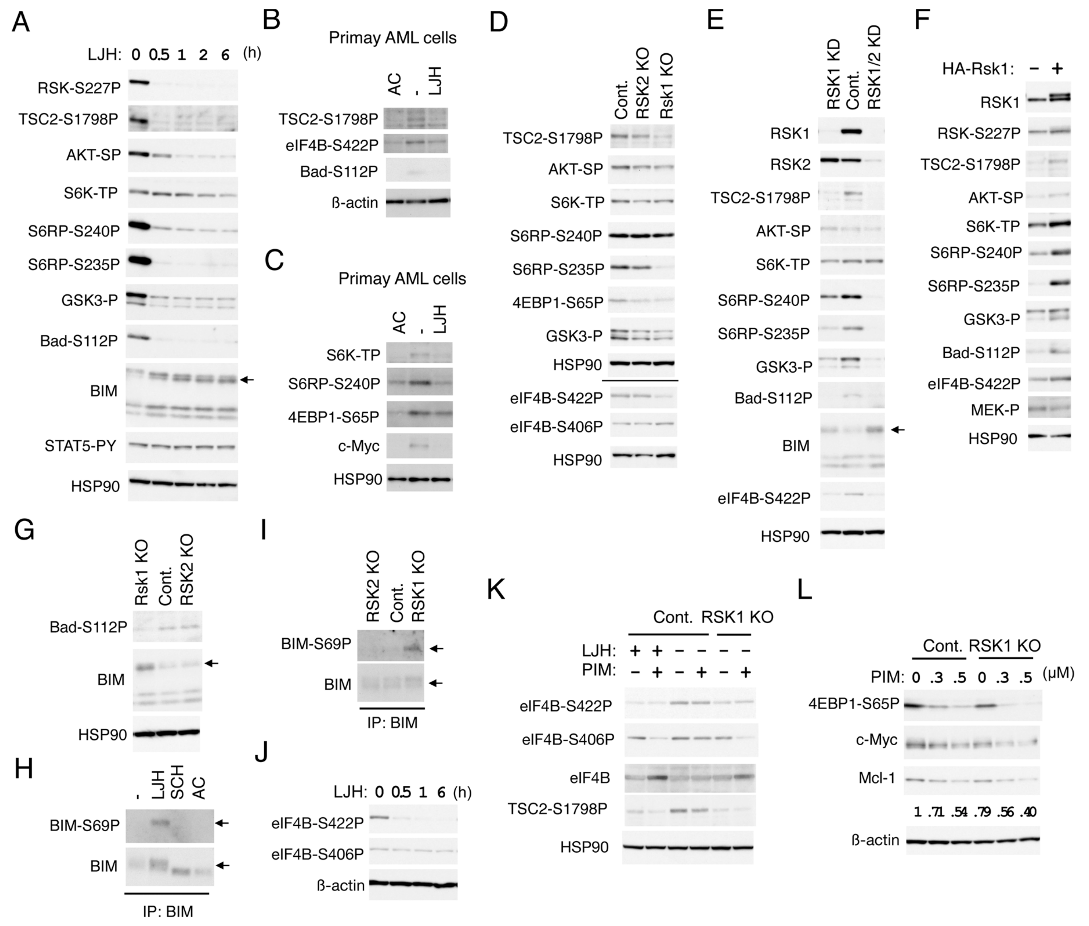 Cancers 11 01827 g005