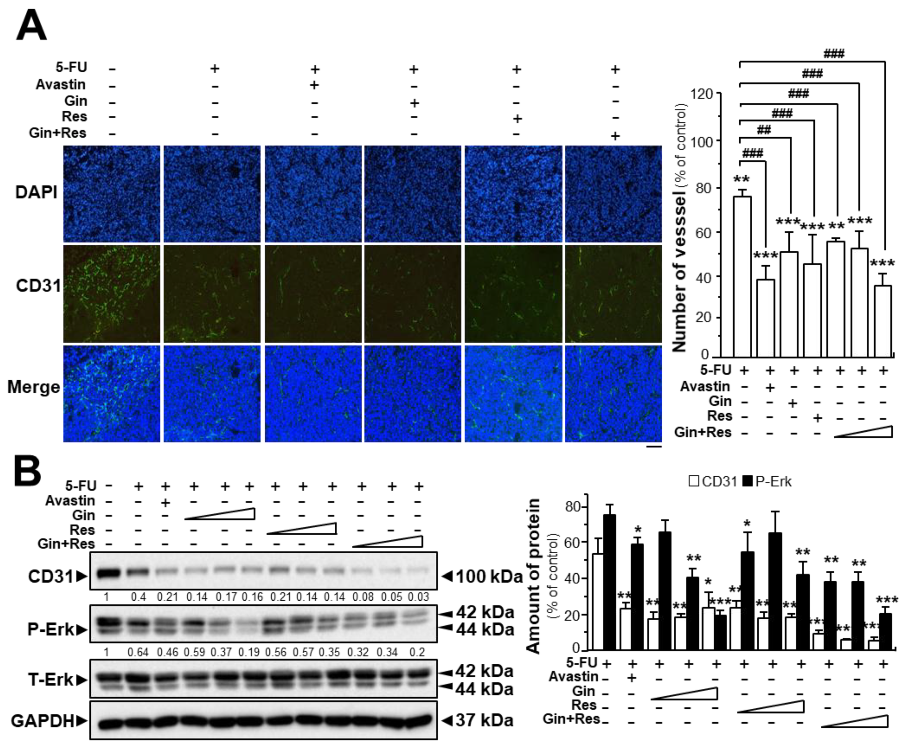 Cancers 11 01828 g007
