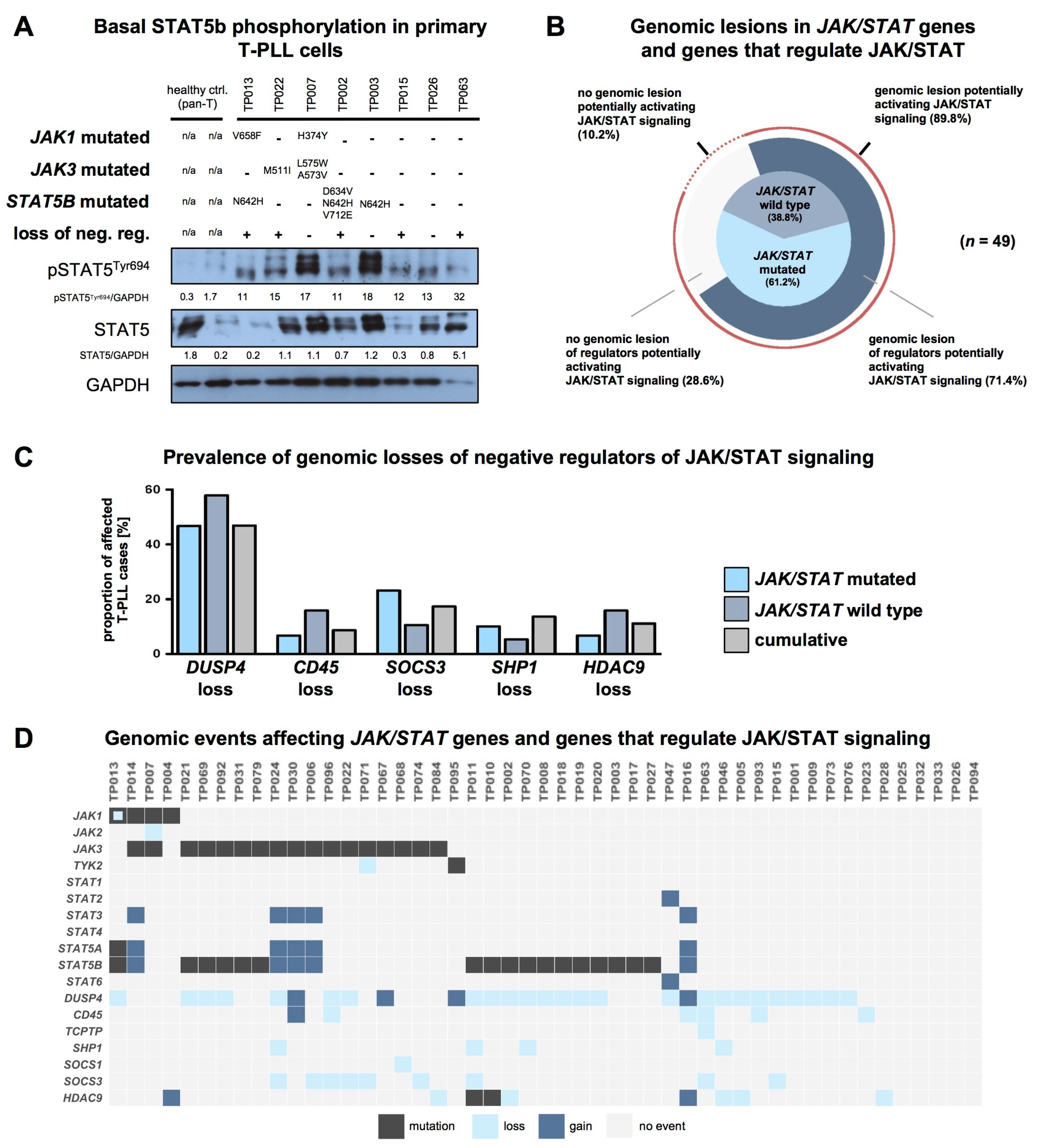 Cancers 11 01833 g004