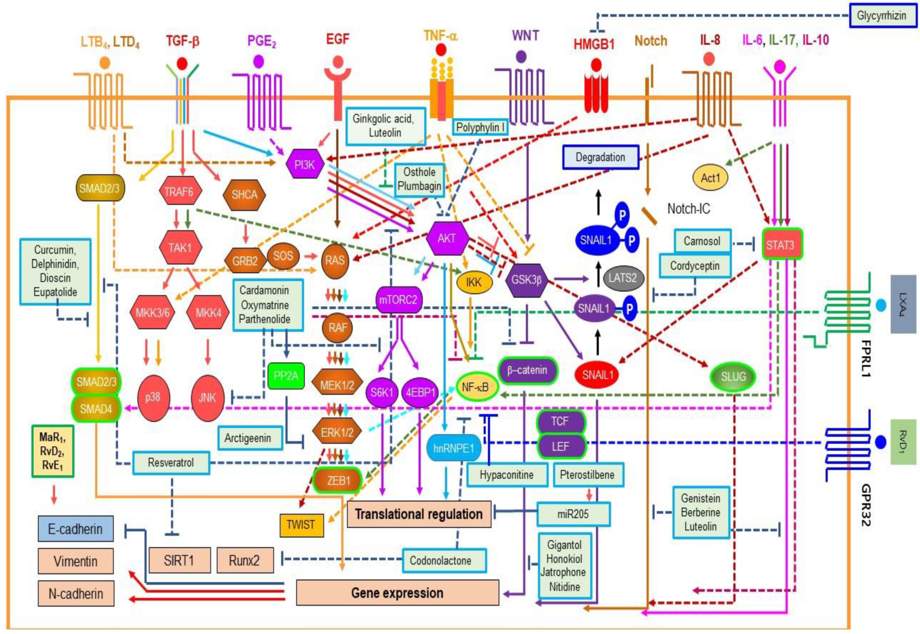 Cancers 11 01841 g003