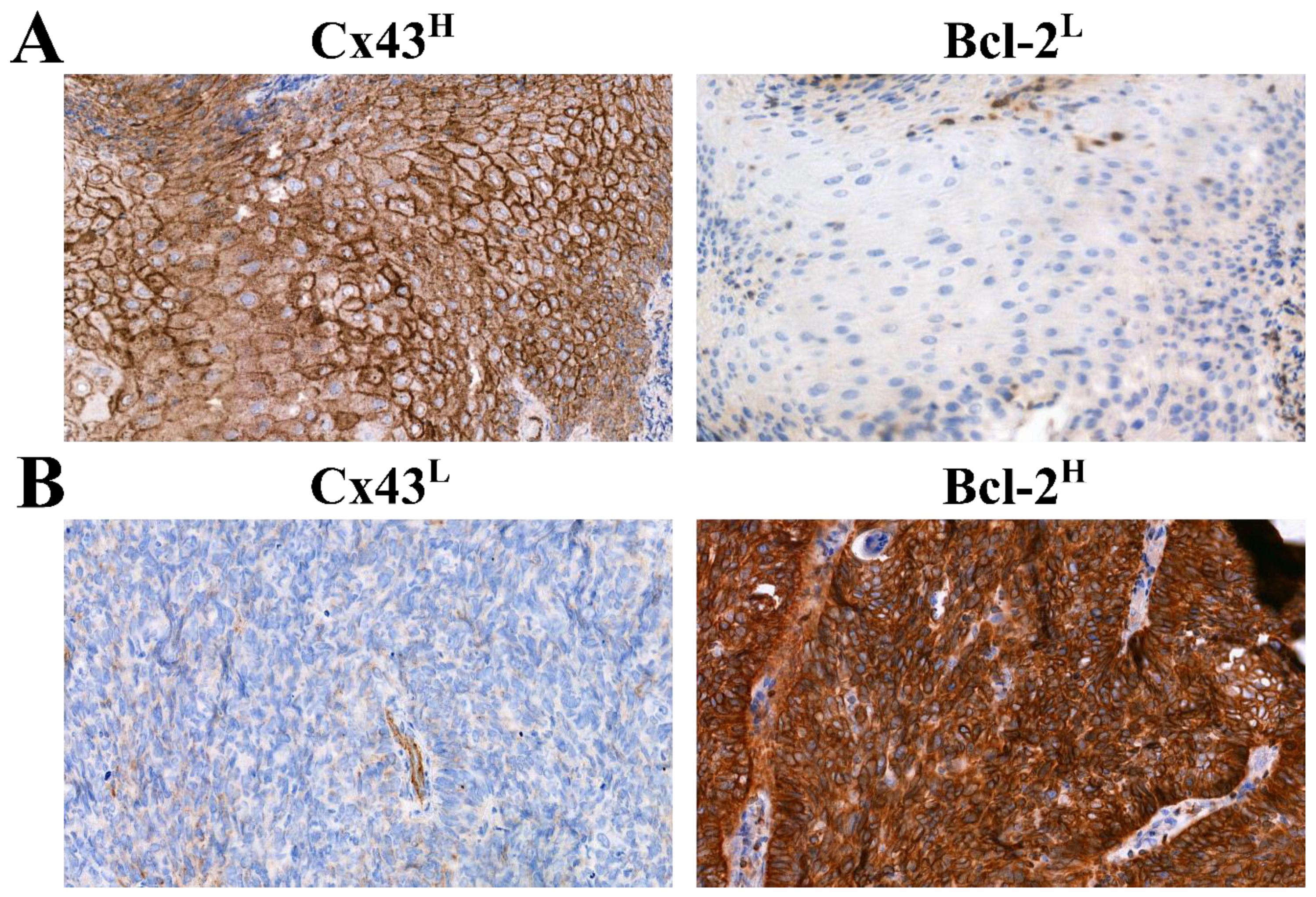 Cancers 11 01848 g007