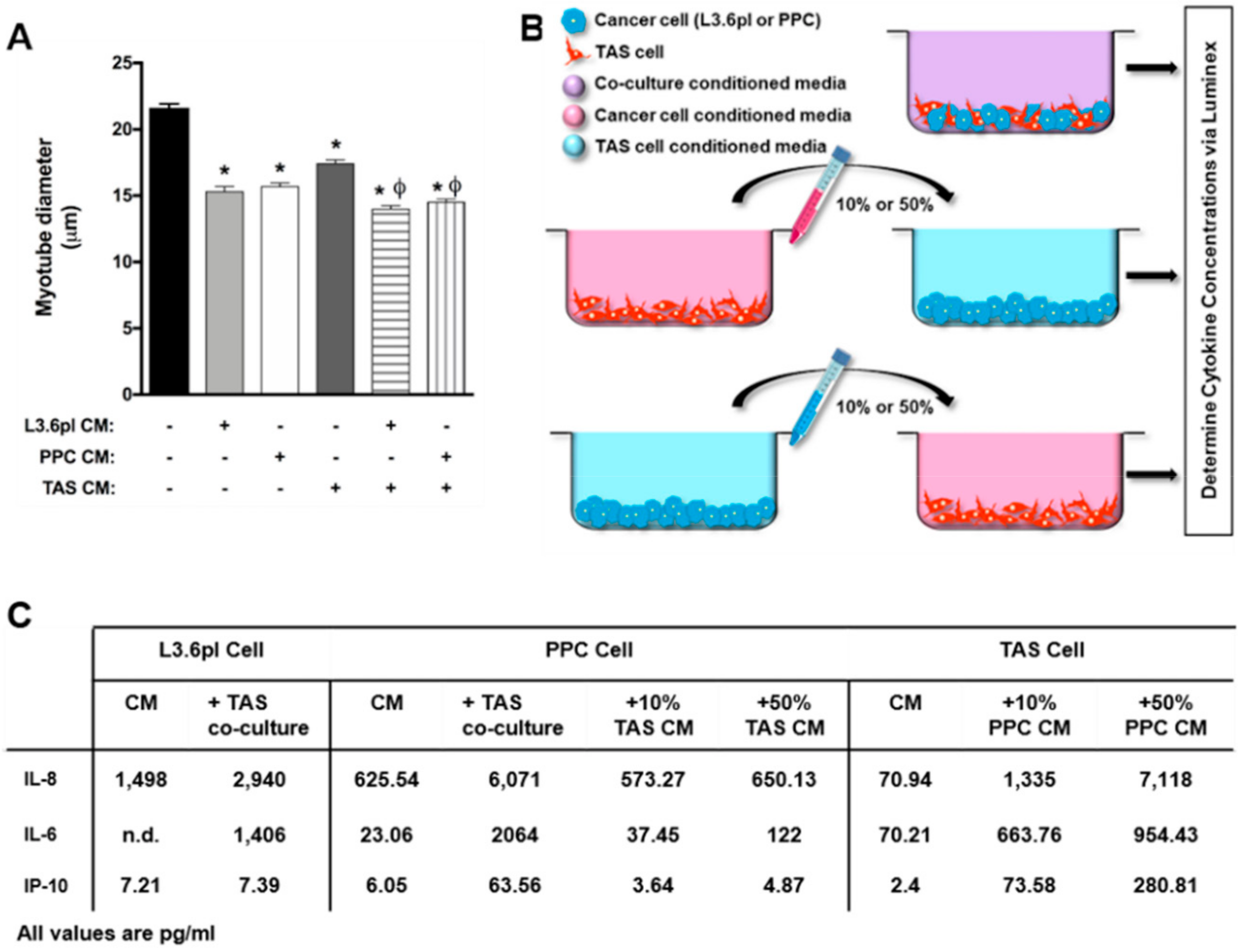 Cancers 11 01863 g001