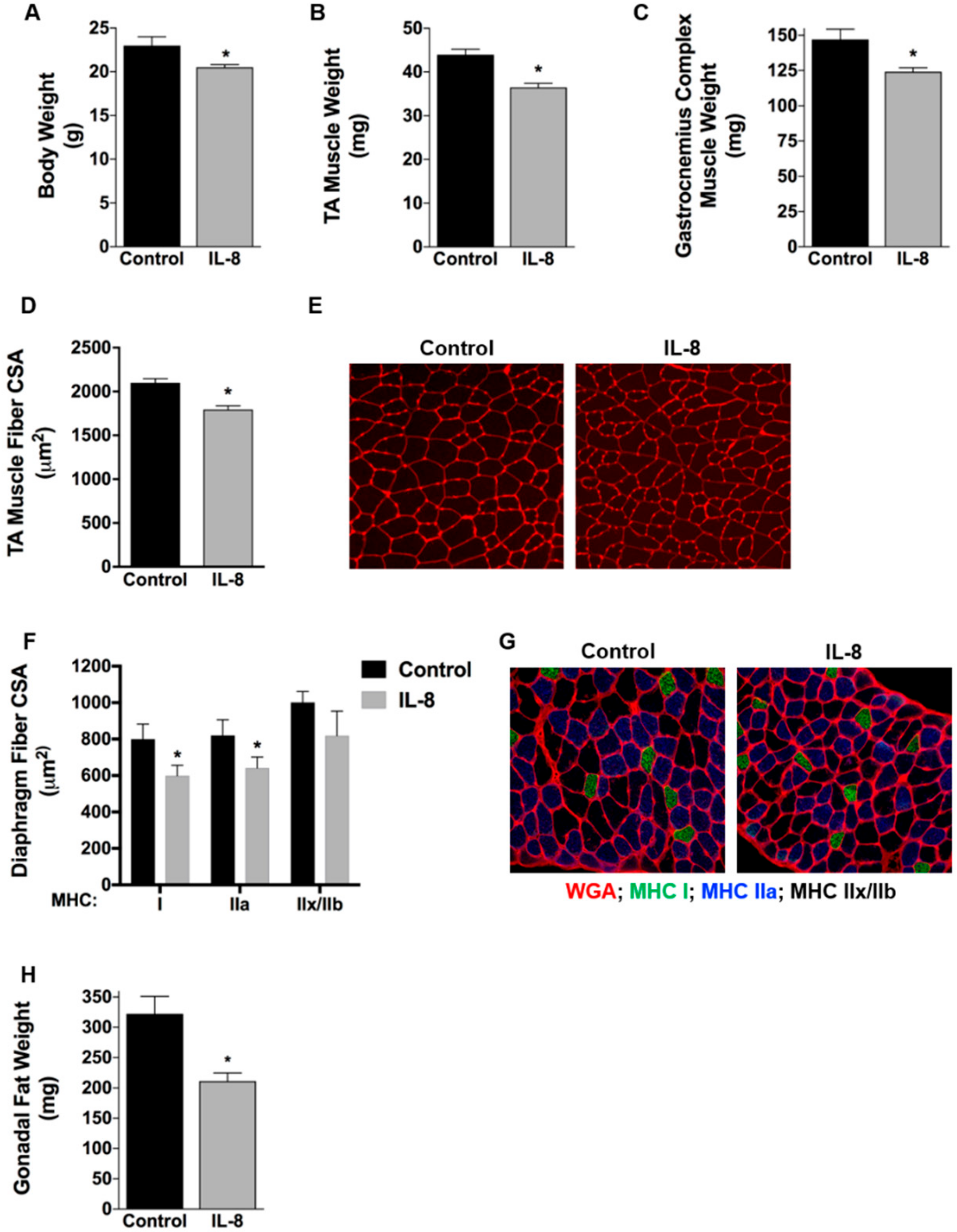Cancers 11 01863 g003