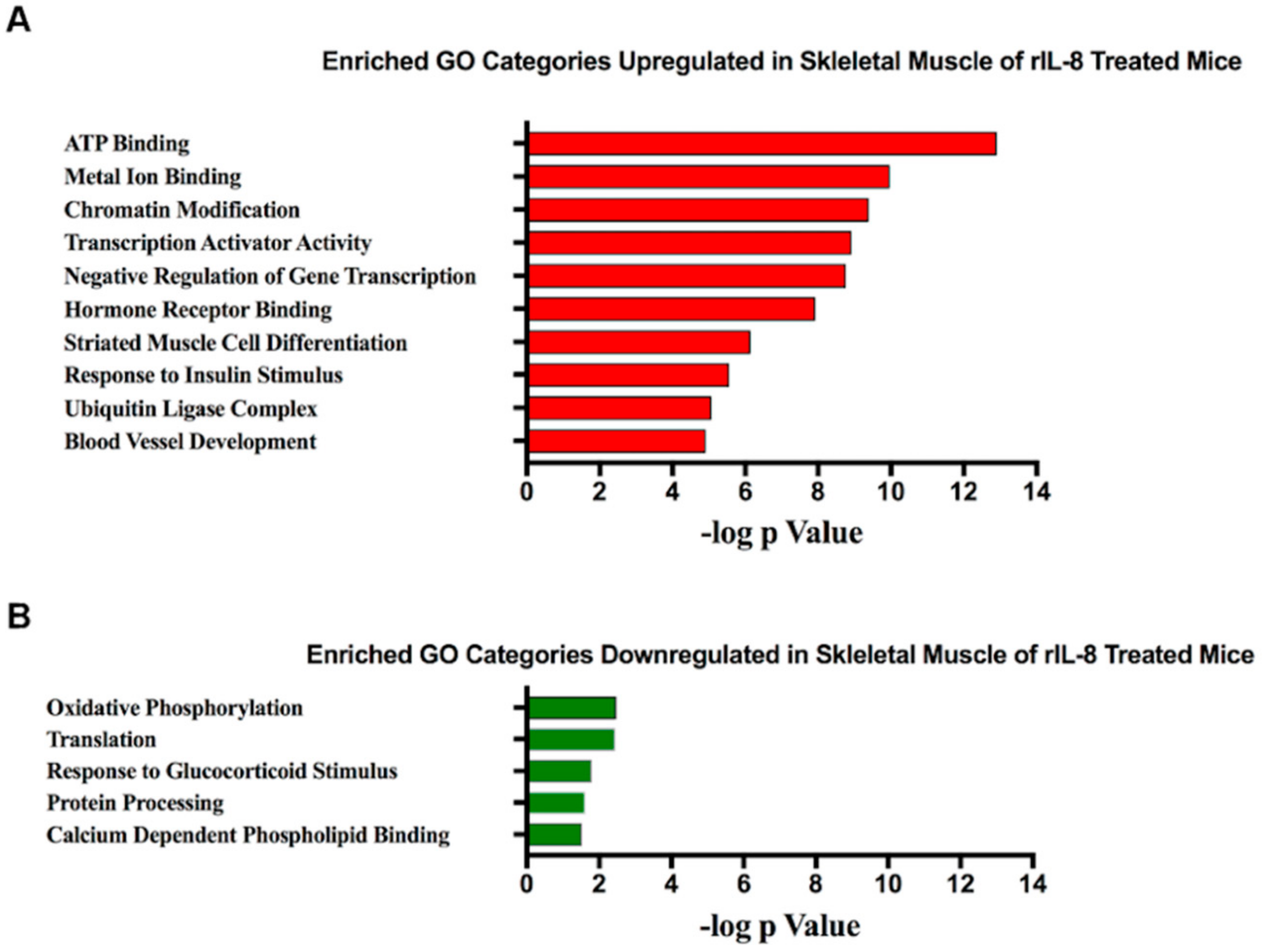 Cancers 11 01863 g004