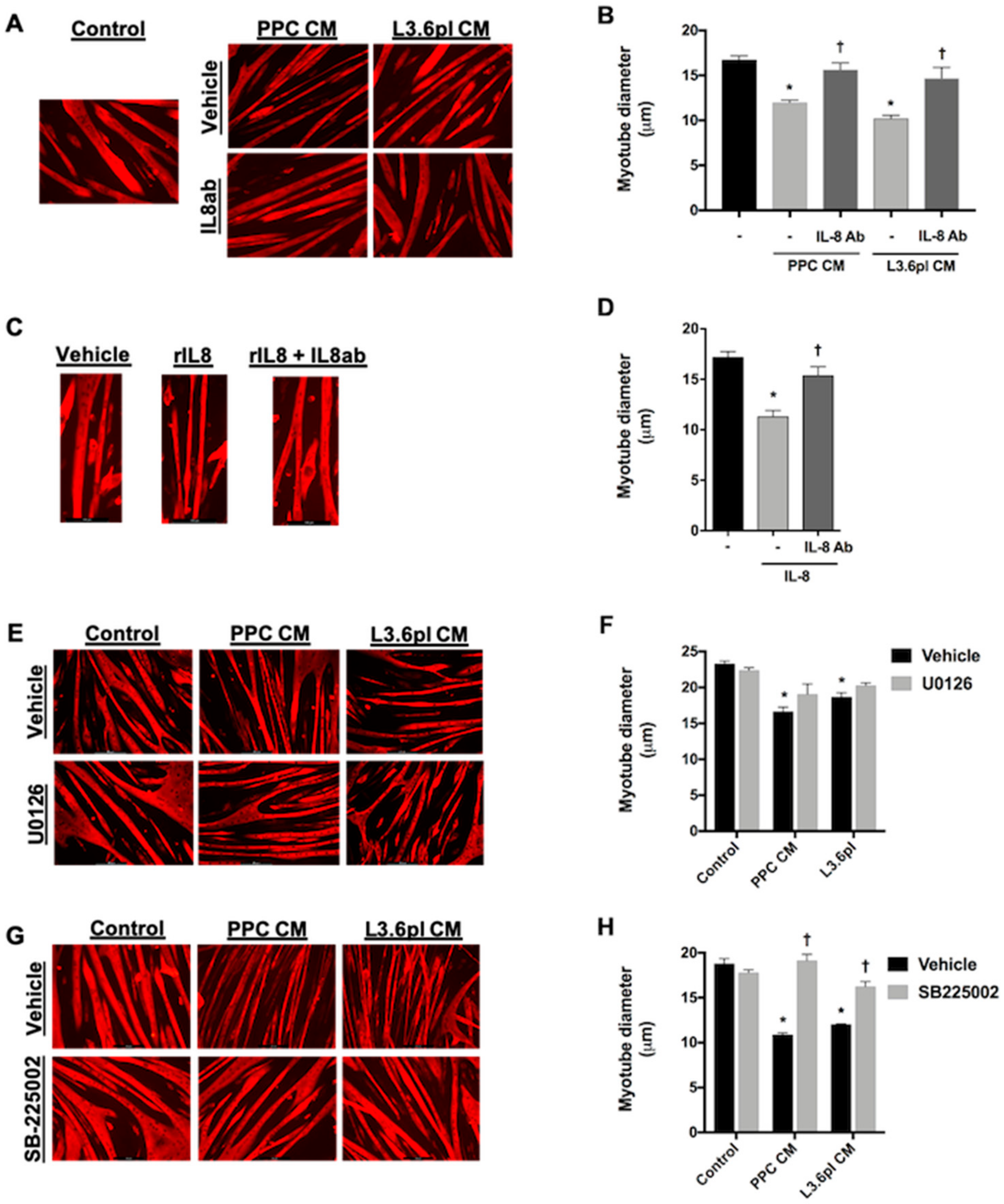 Cancers 11 01863 g007