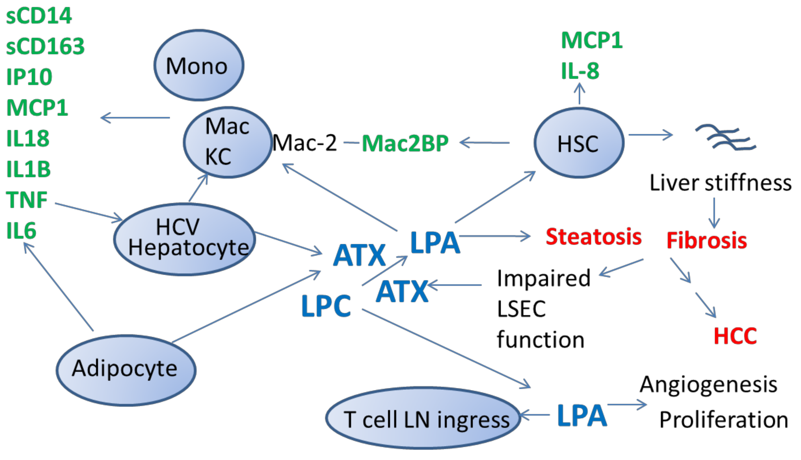 Cancers 11 01867 g001