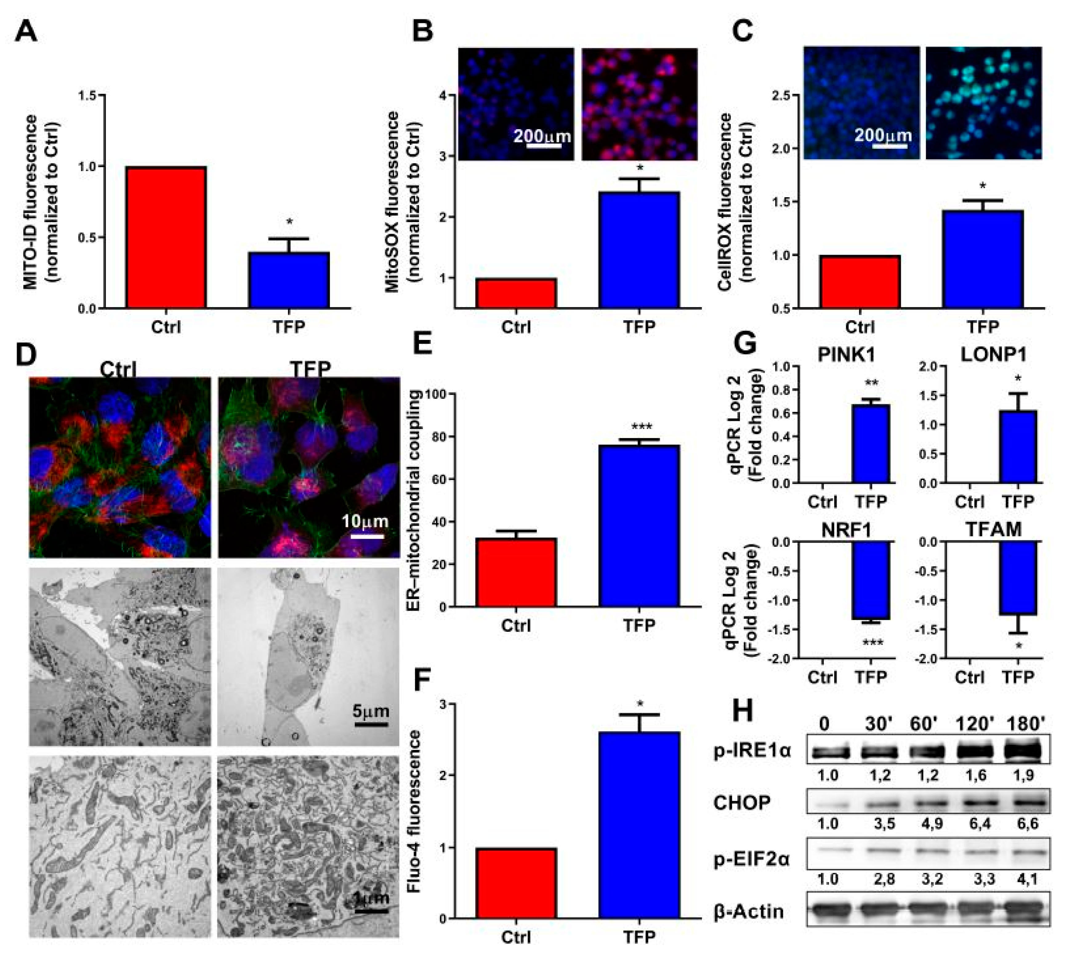 Cancers 11 01869 g003