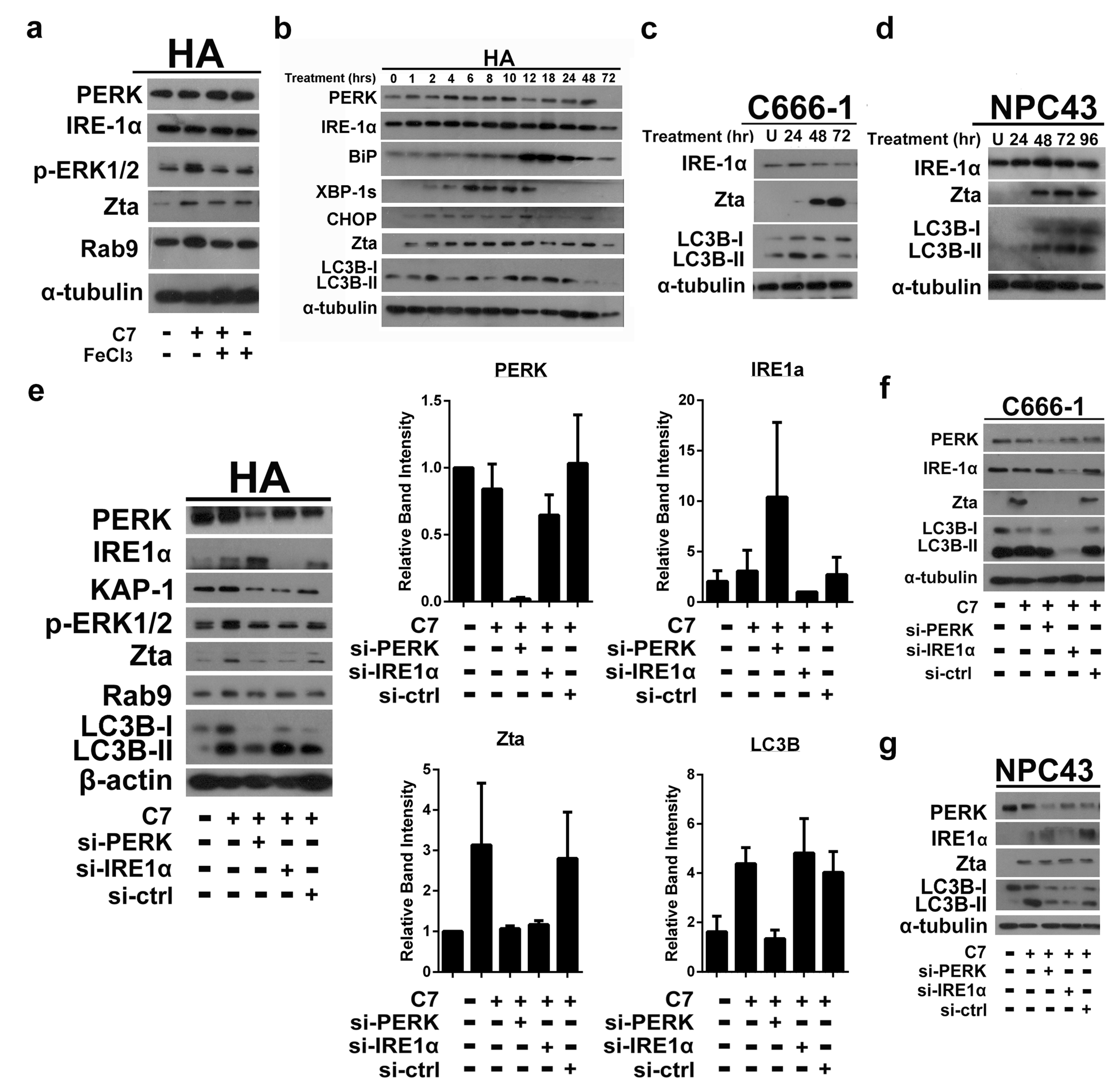 Cancers 11 01871 g001