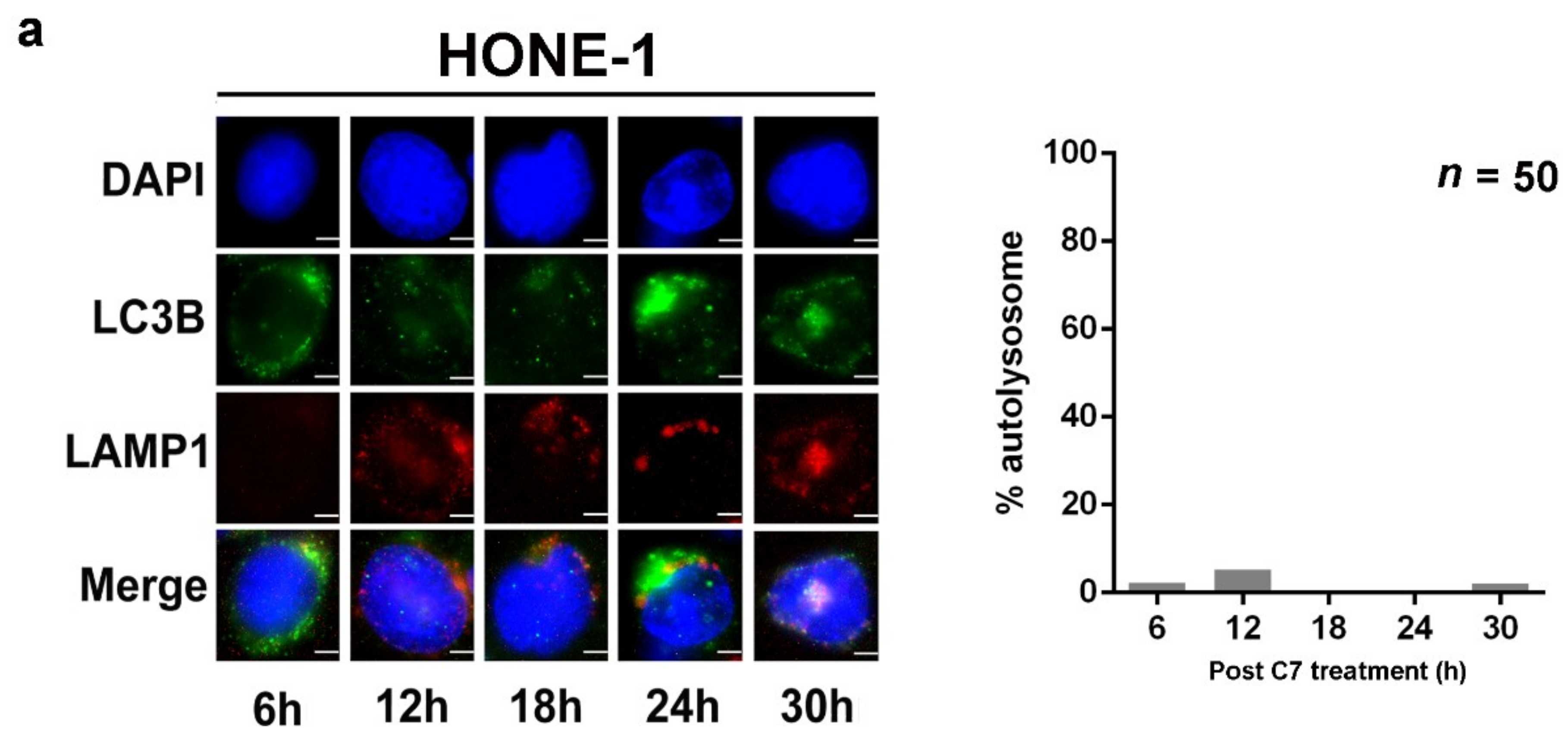 Cancers 11 01871 g003a