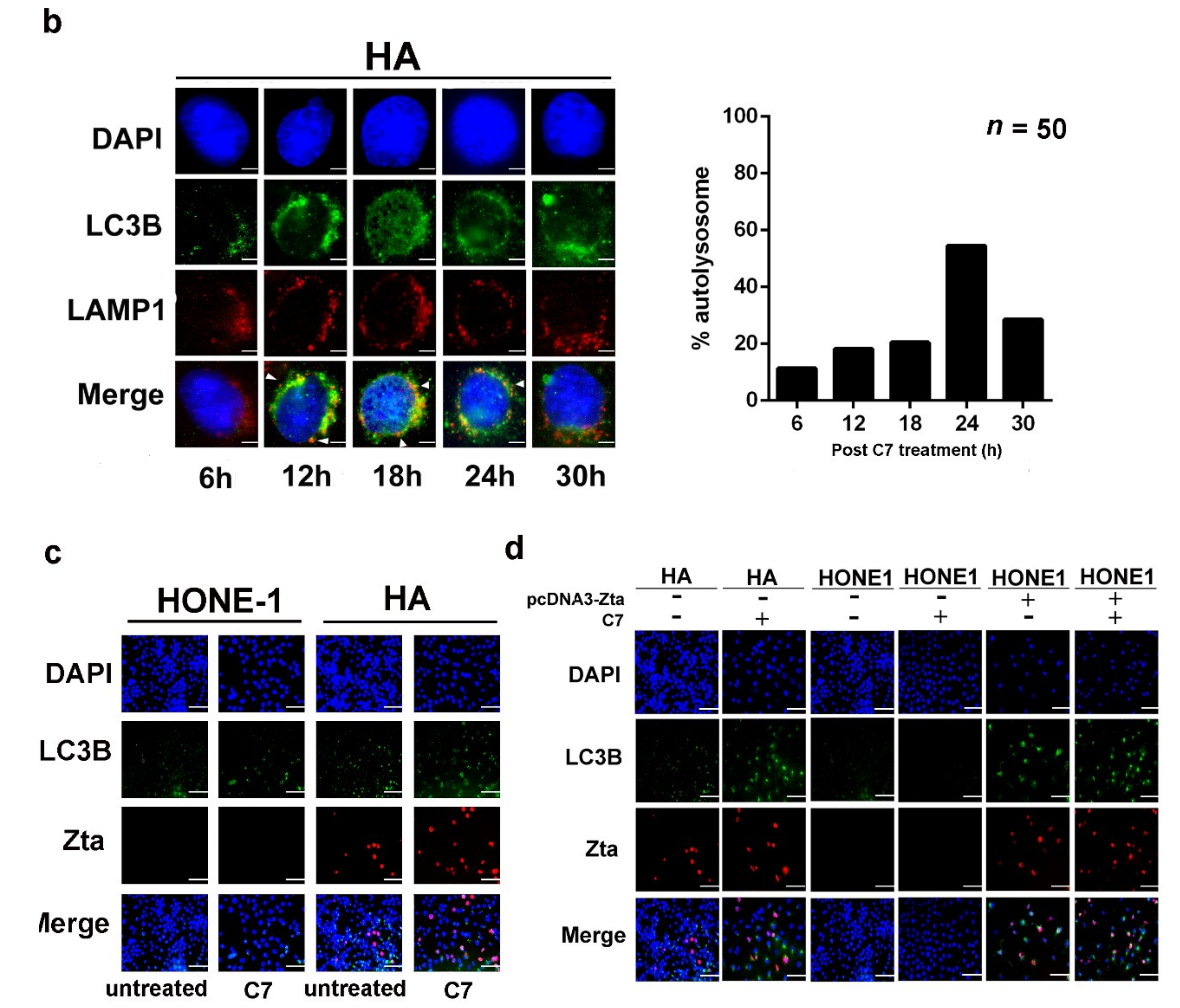 Cancers 11 01871 g003b