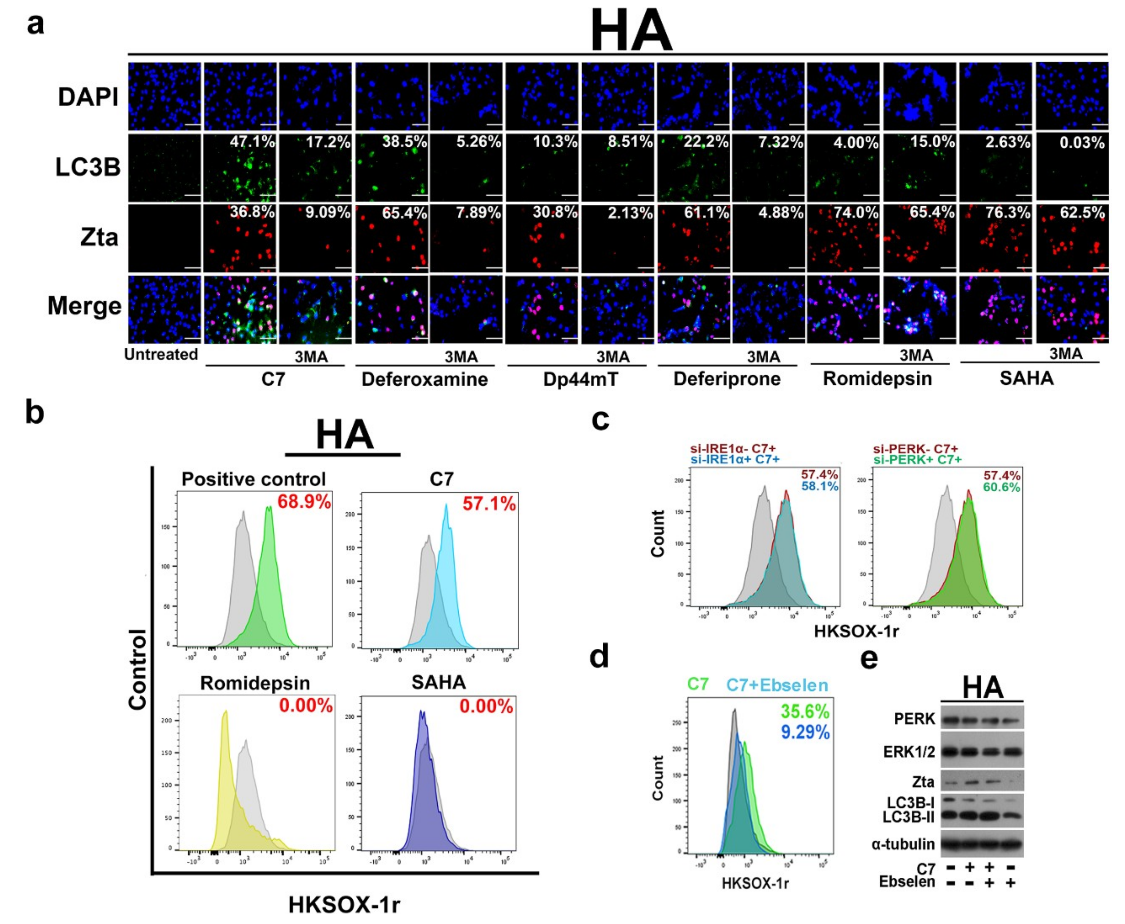 Cancers 11 01871 g004a