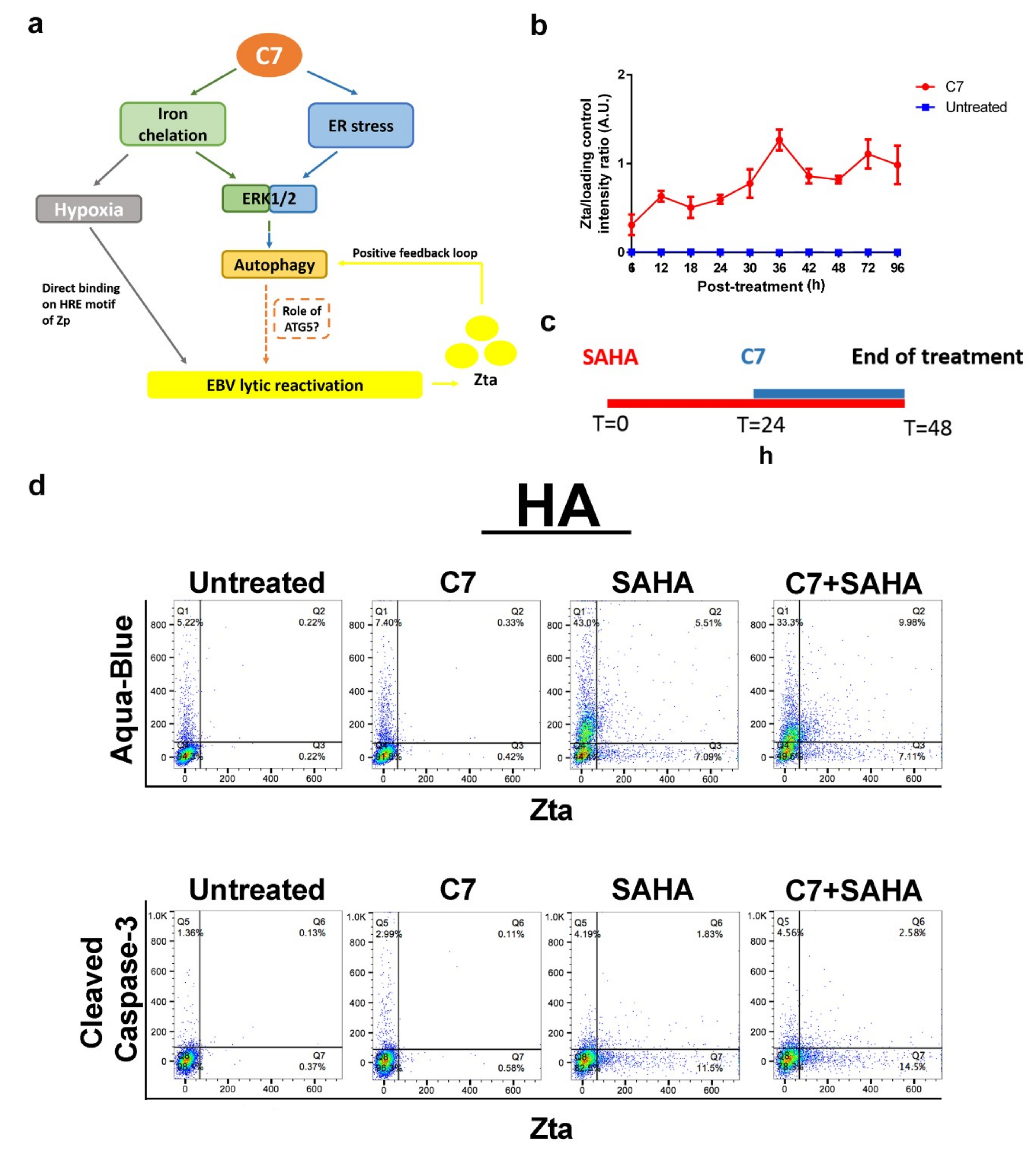 Cancers 11 01871 g006