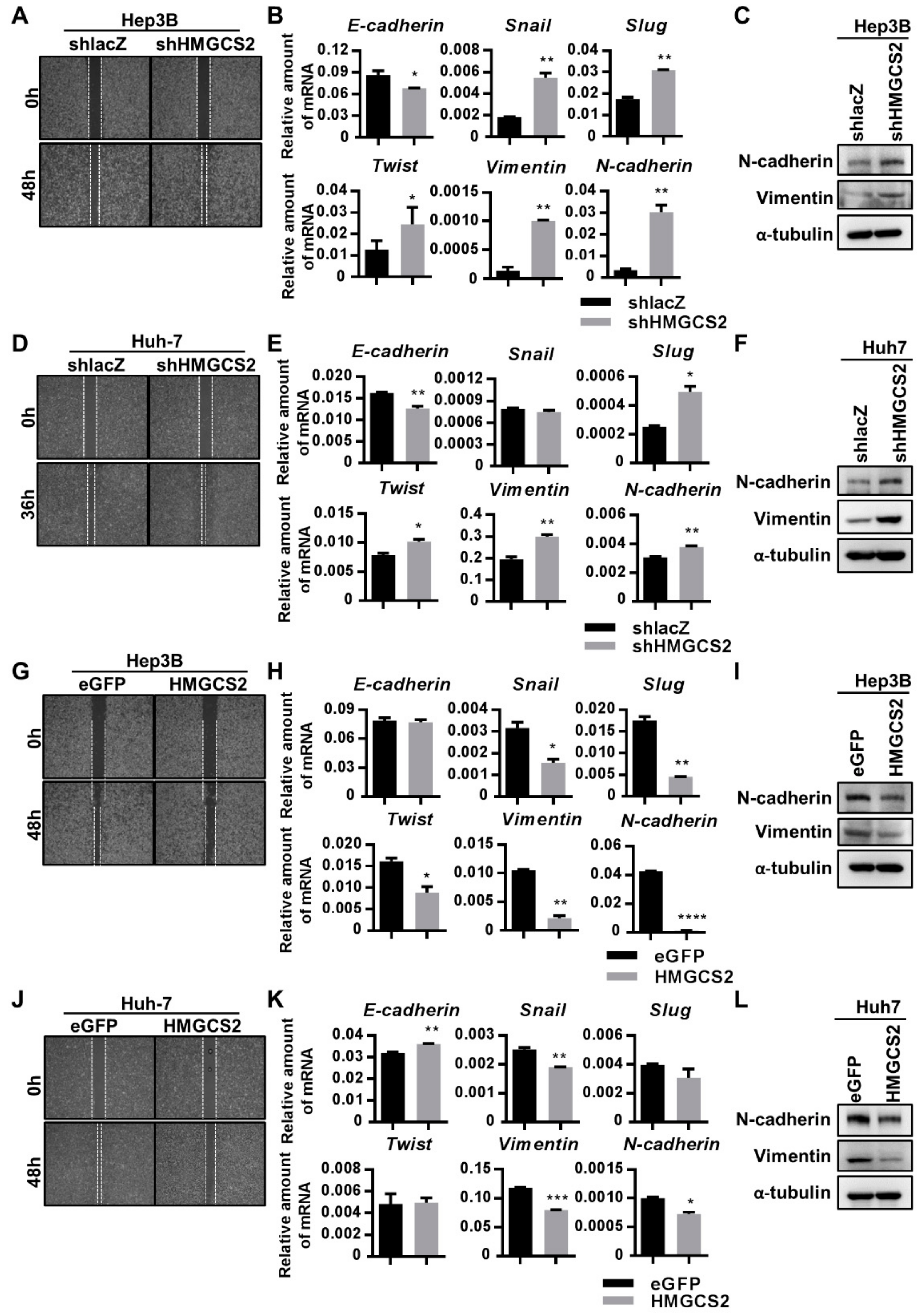 Cancers 11 01876 g005
