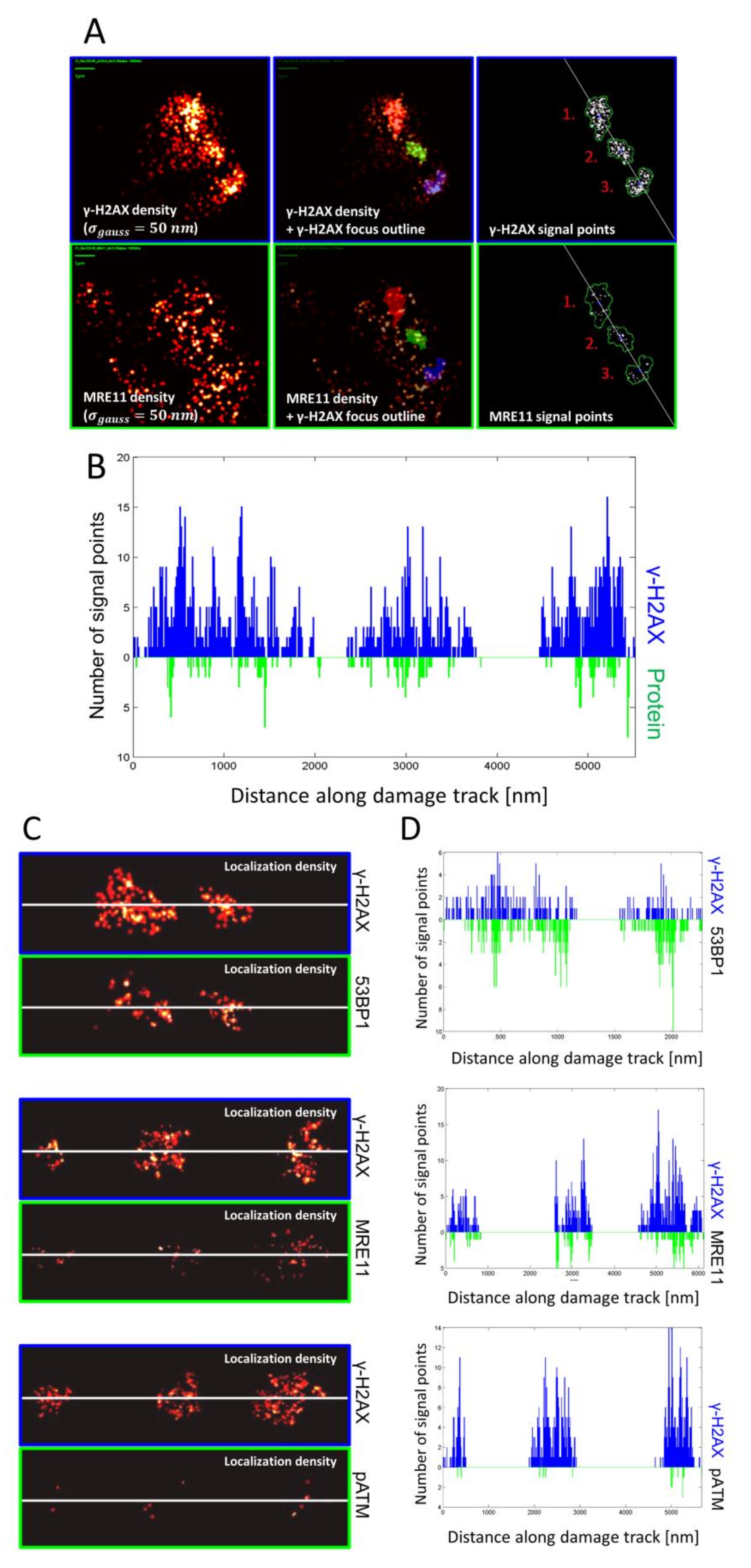 Cancers 11 01877 g002