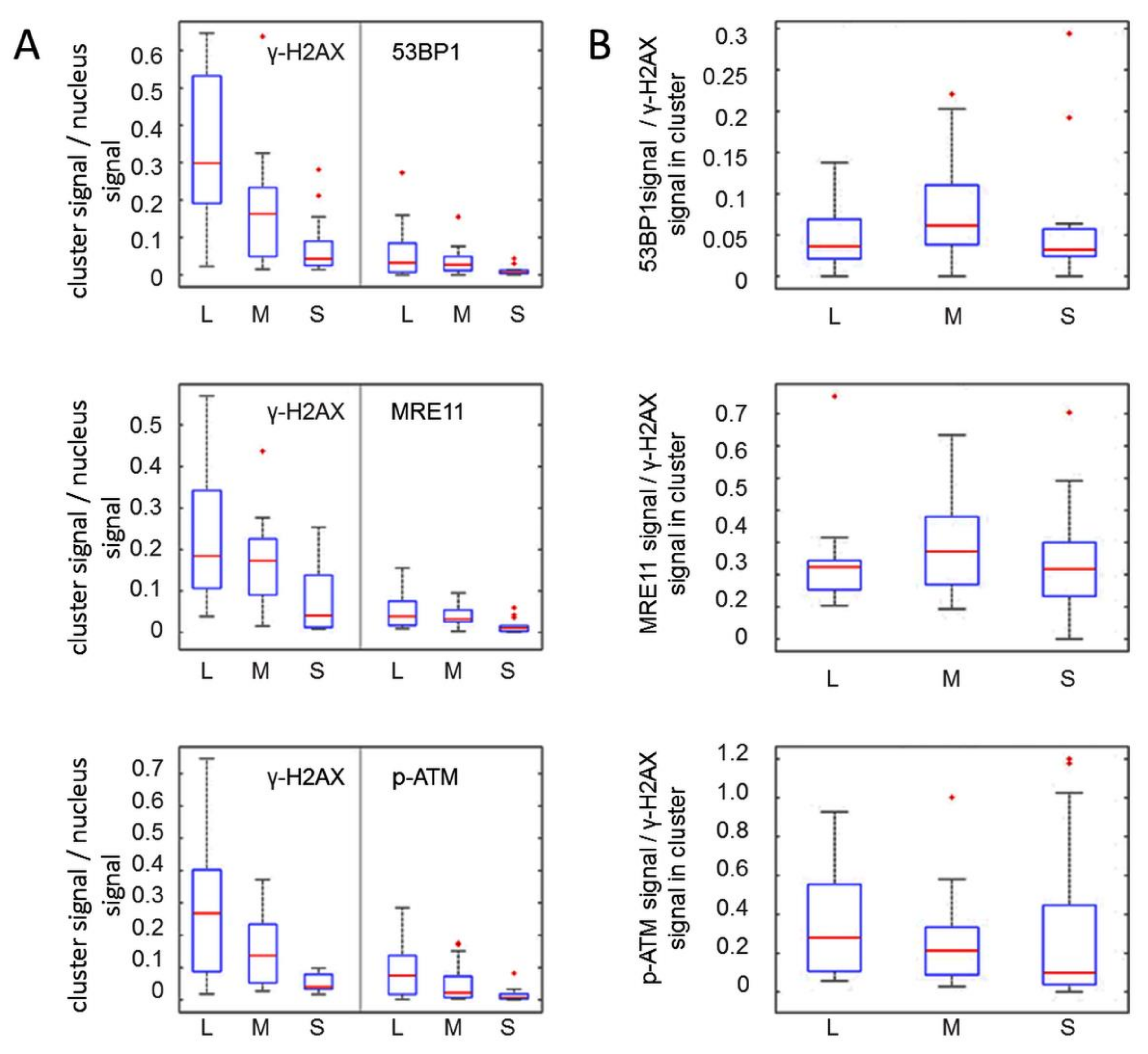 Cancers 11 01877 g005