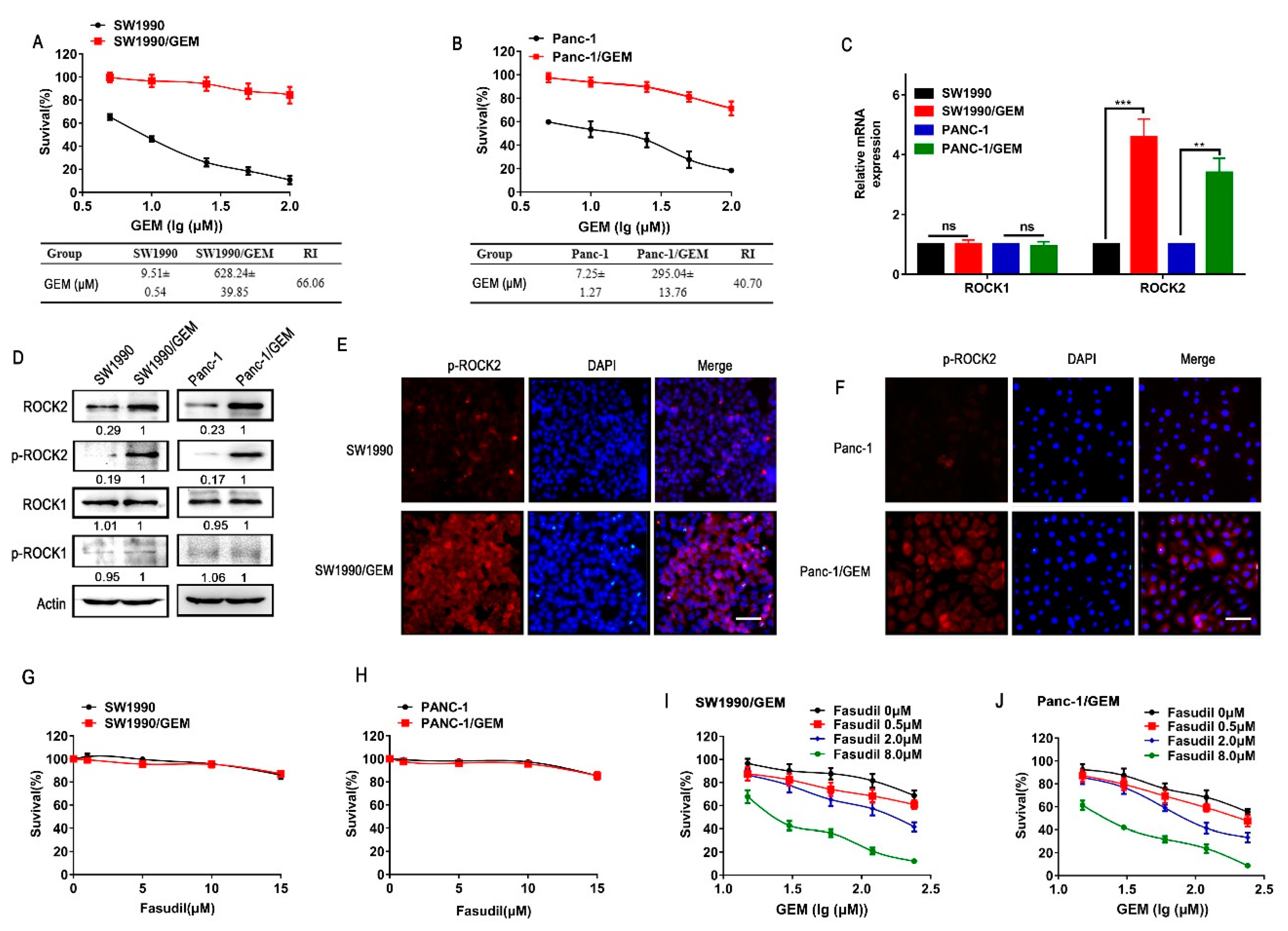 Cancers 11 01881 g001