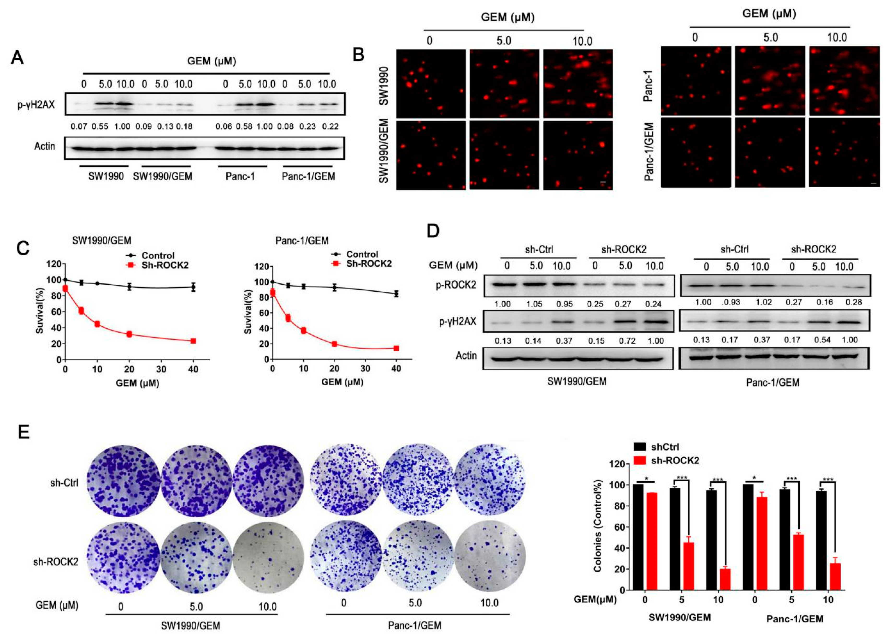Cancers 11 01881 g002