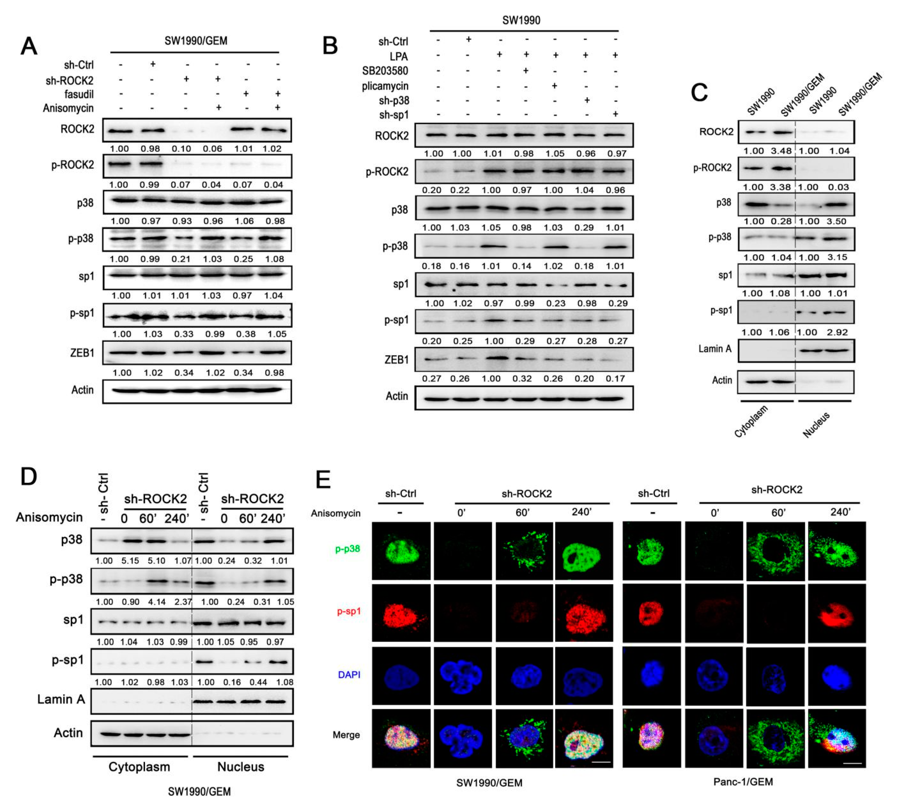 Cancers 11 01881 g005