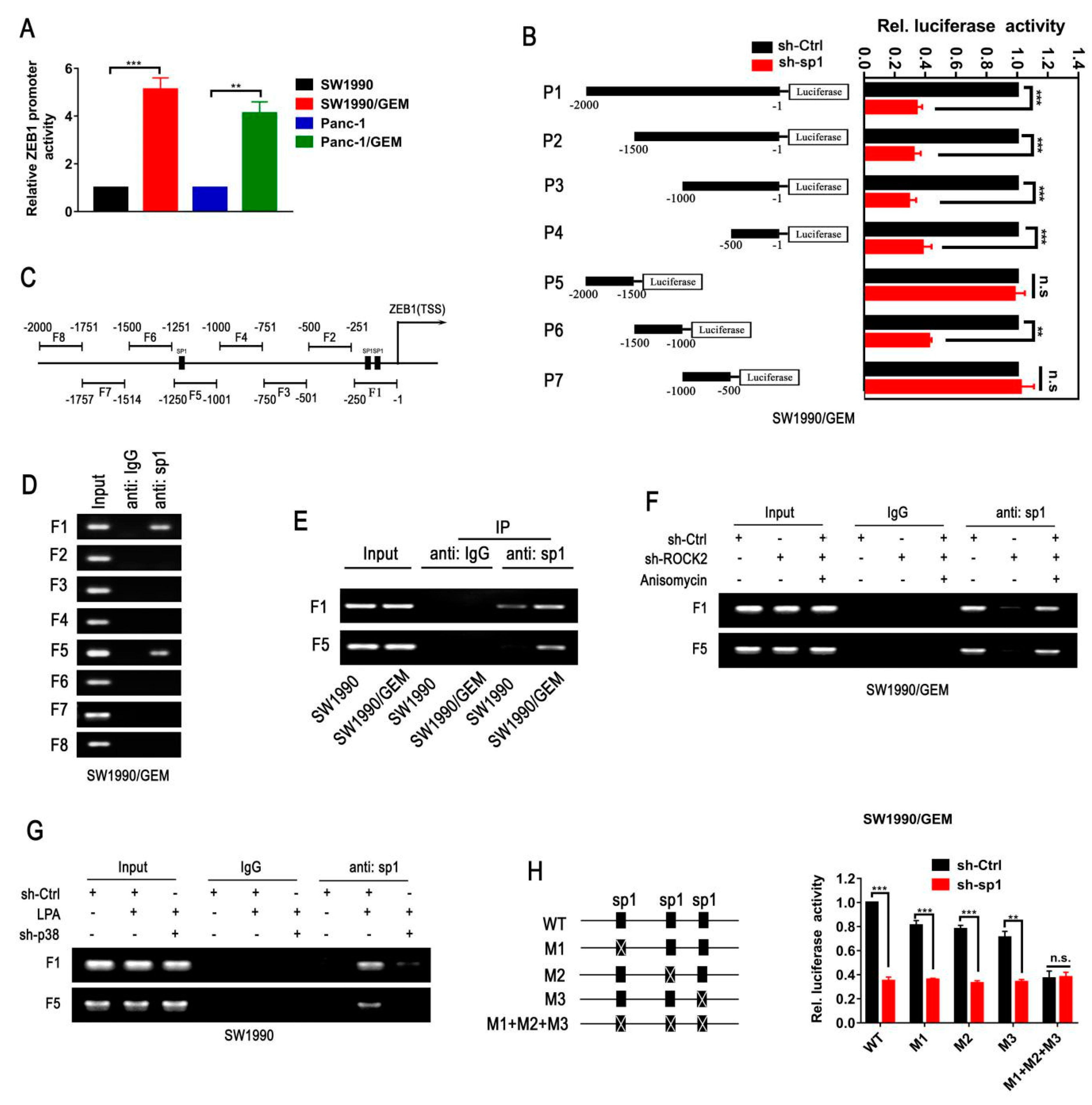 Cancers 11 01881 g006