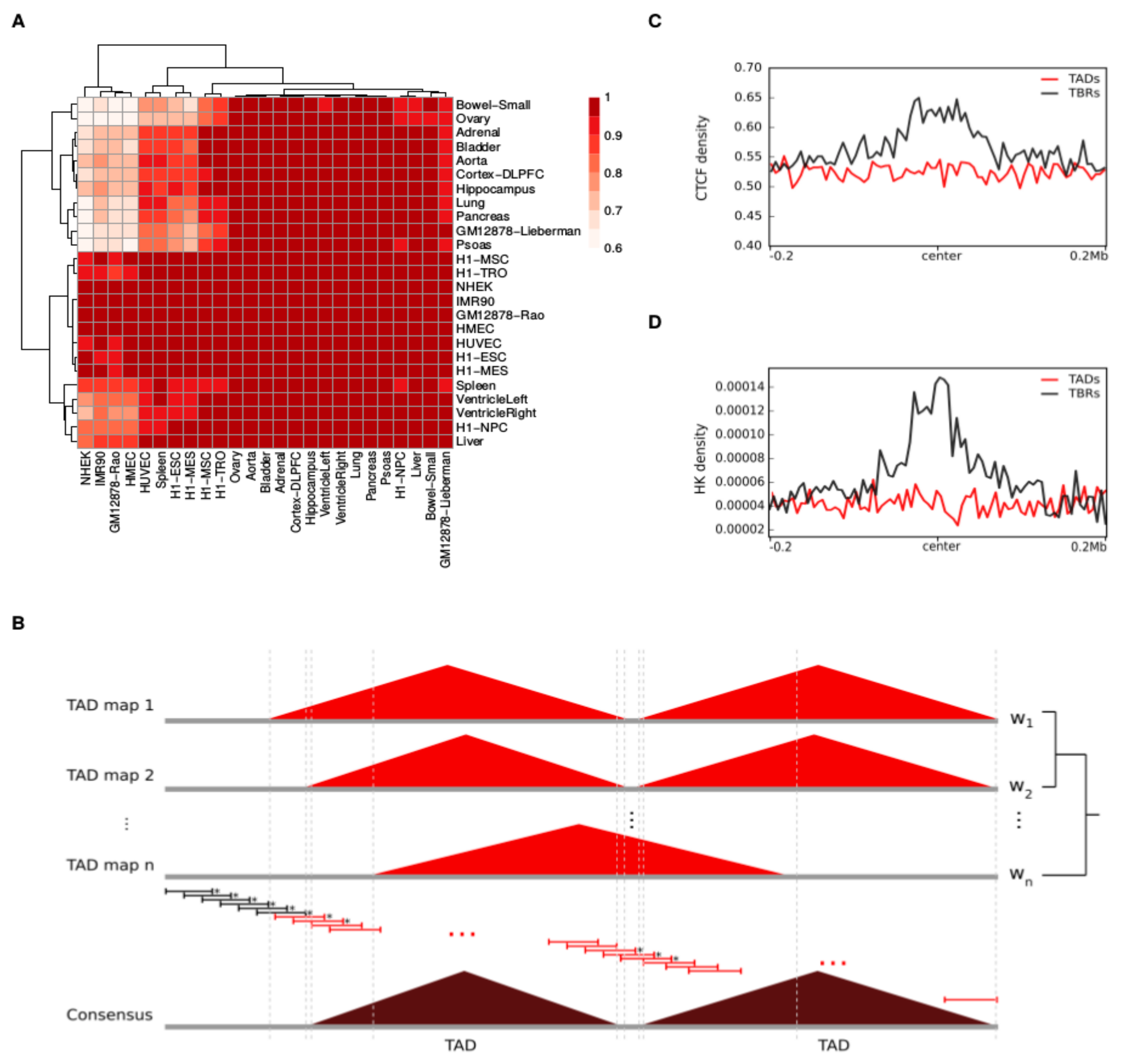 Cancers 11 01886 g001