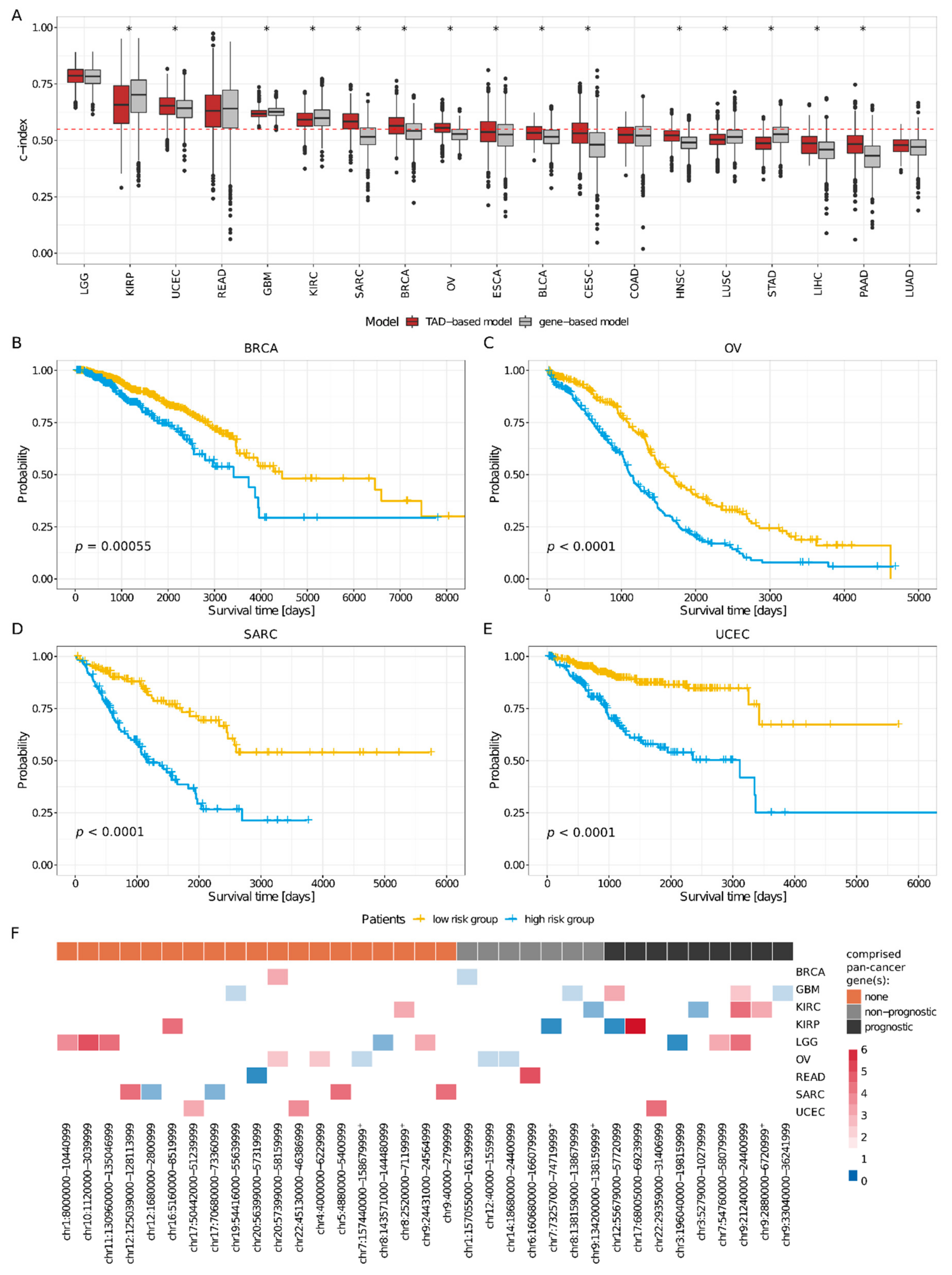 Cancers 11 01886 g003