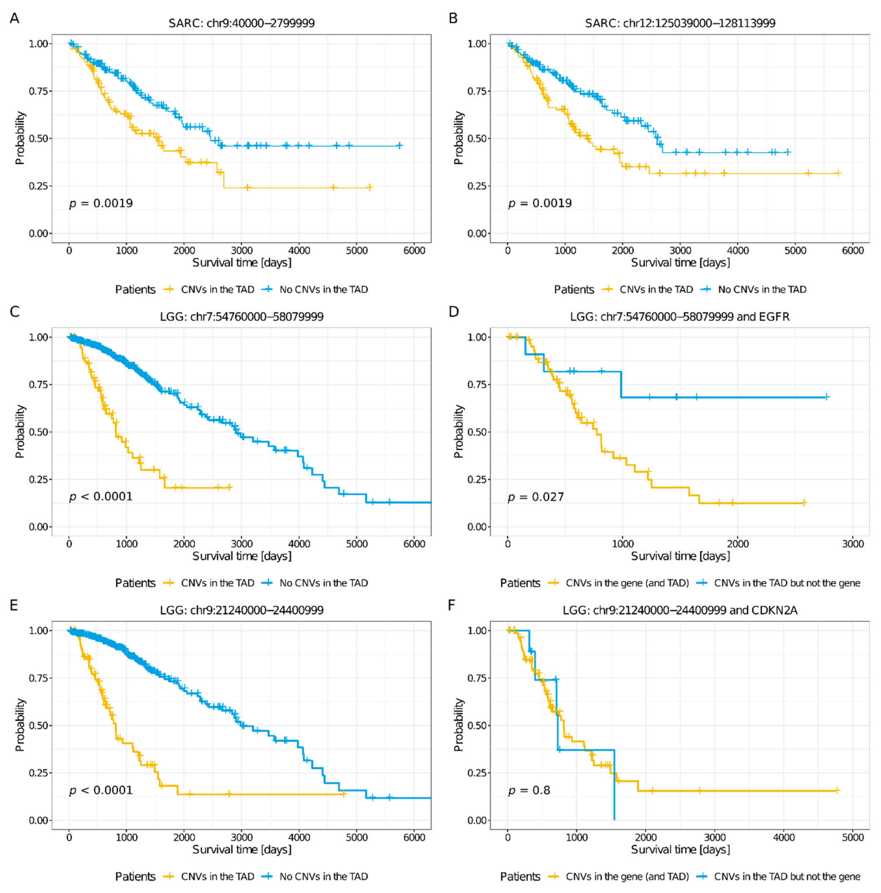 Cancers 11 01886 g004