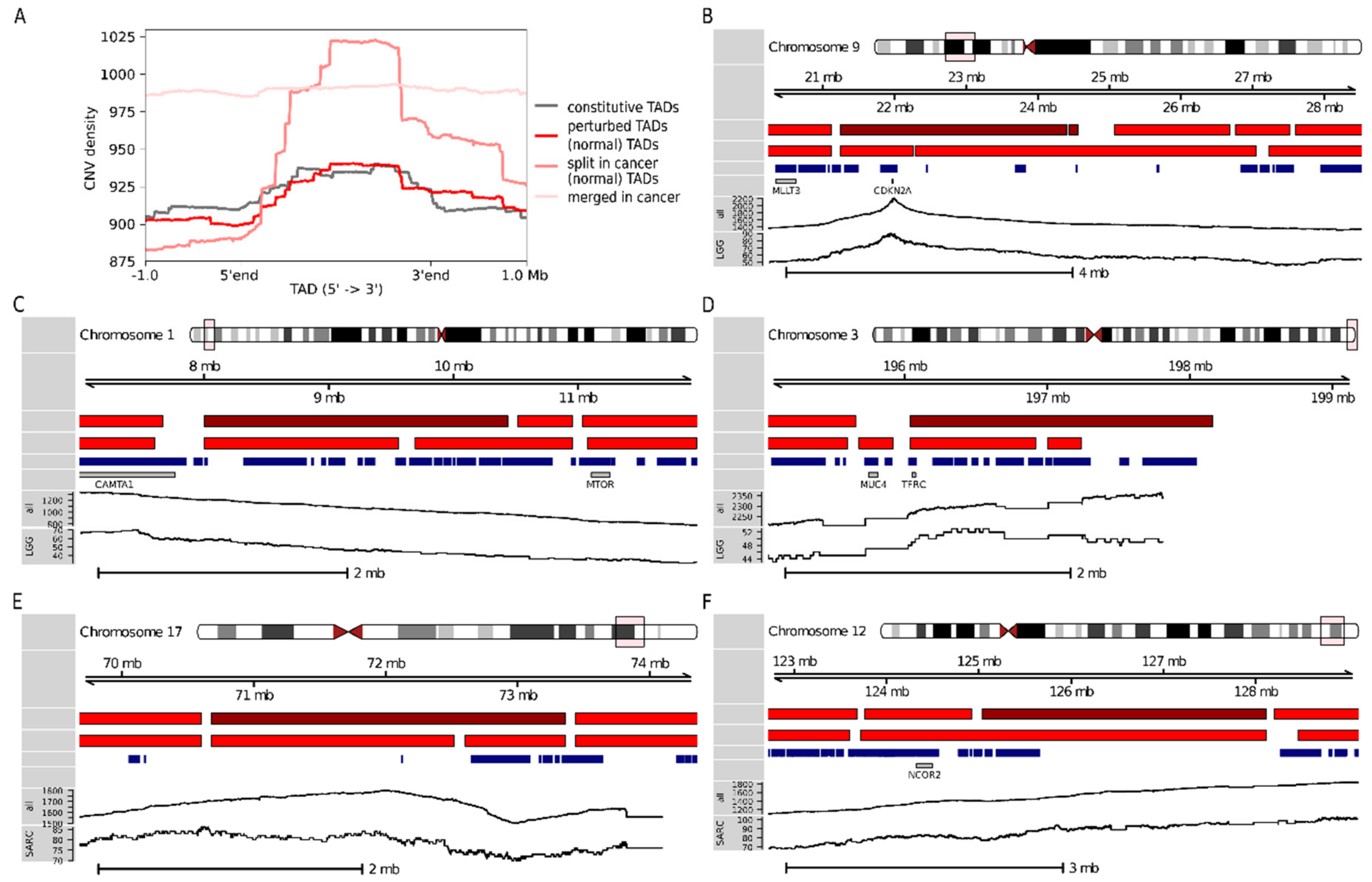 Cancers 11 01886 g005