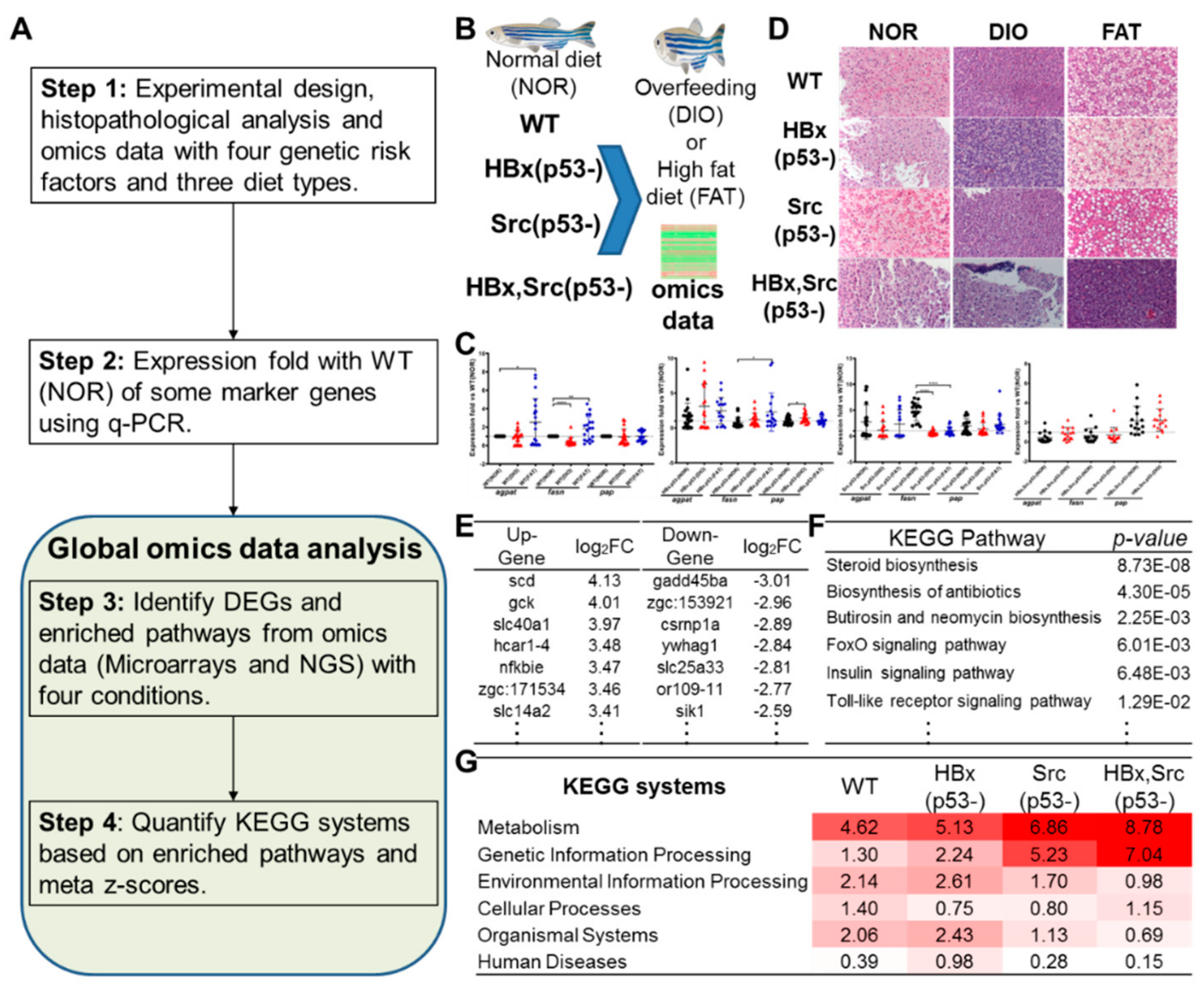 Cancers 11 01899 g001