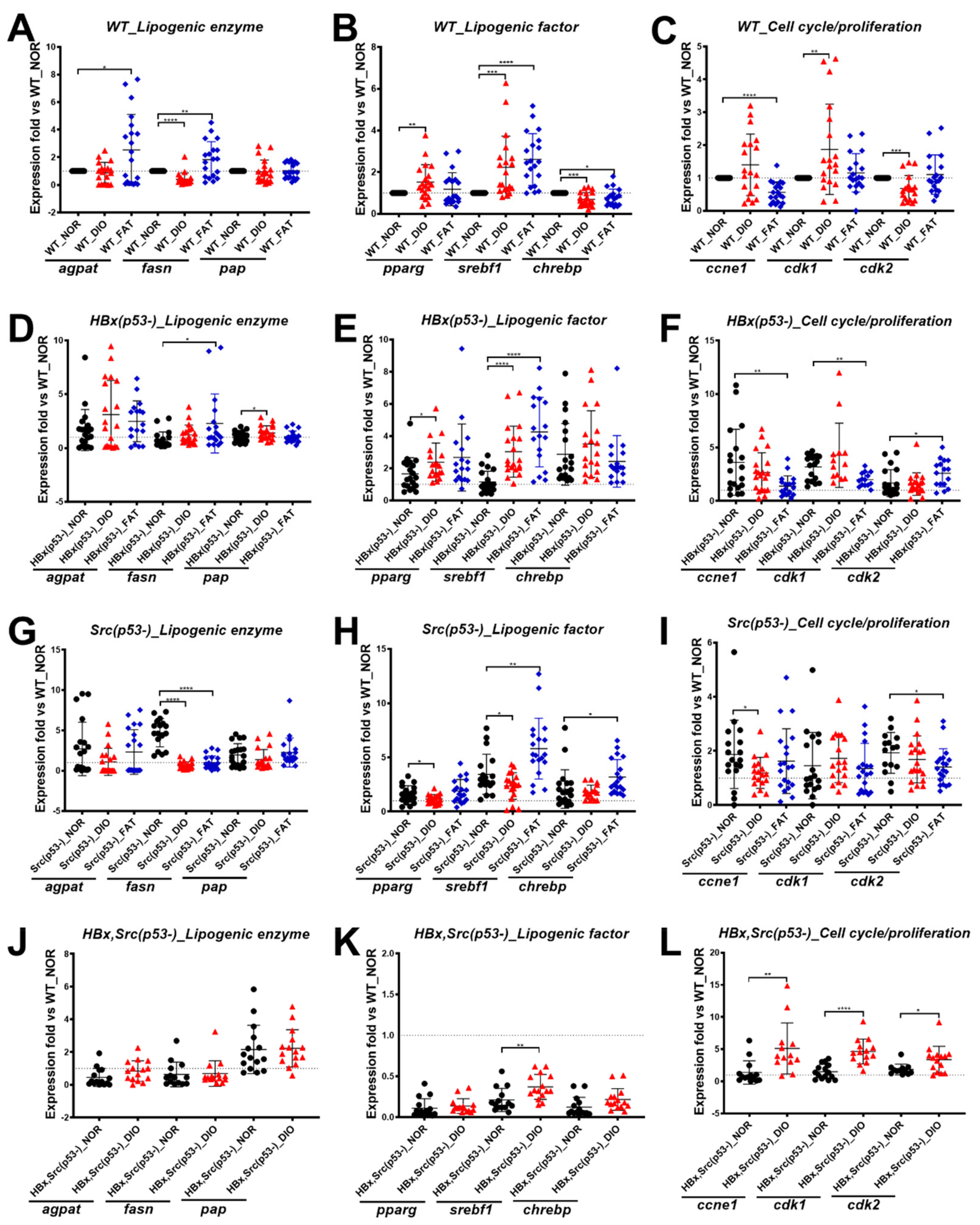 Cancers 11 01899 g002