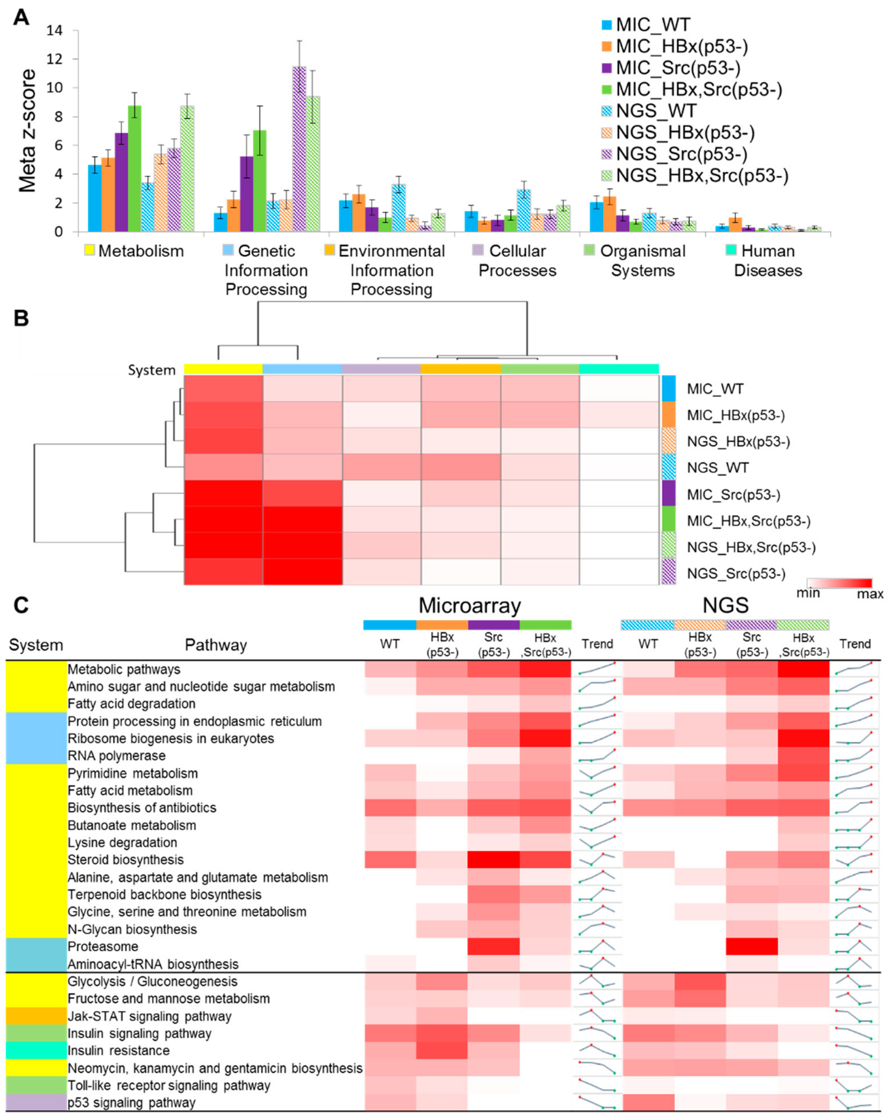 Cancers 11 01899 g005