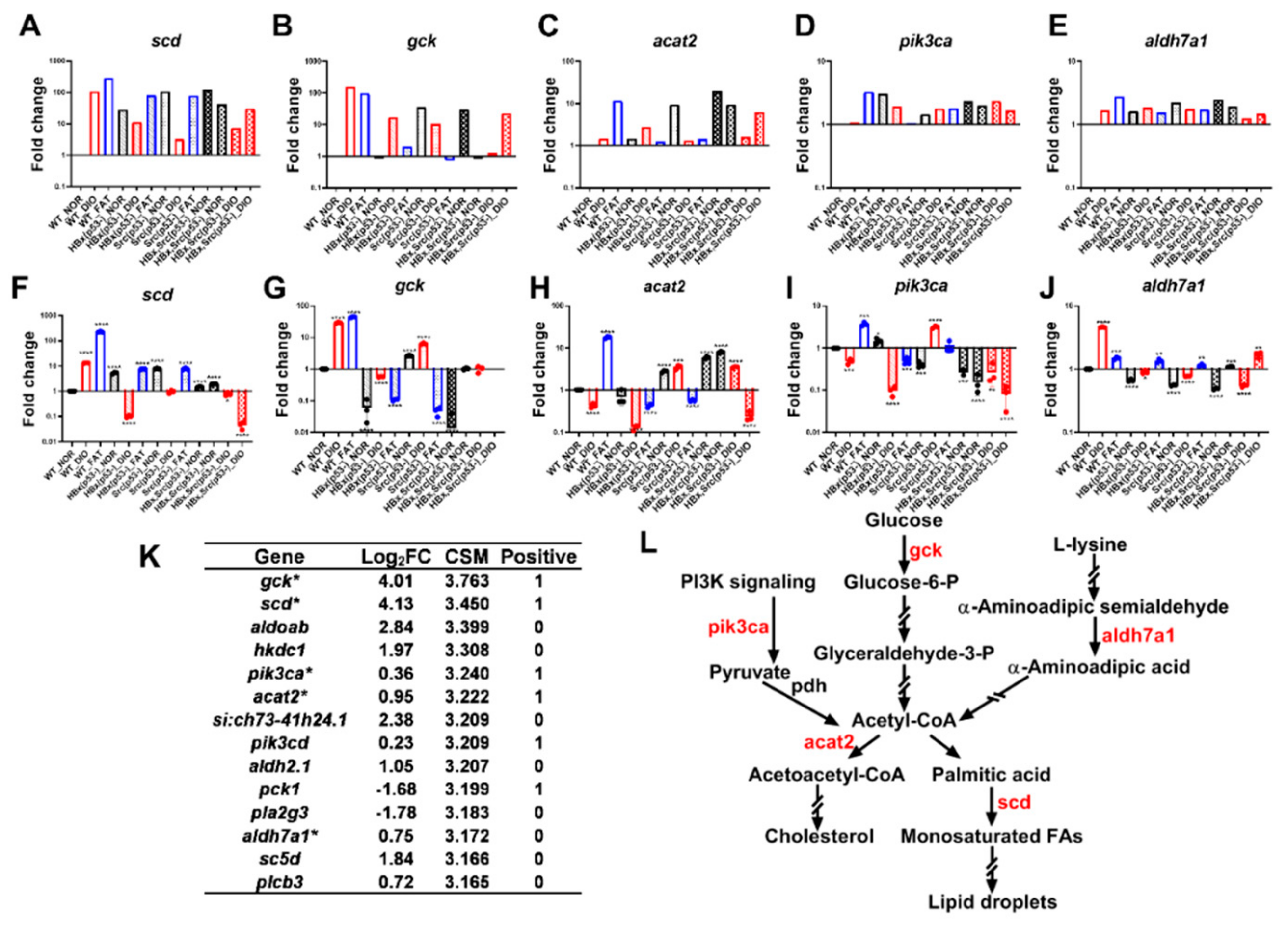 Cancers 11 01899 g007