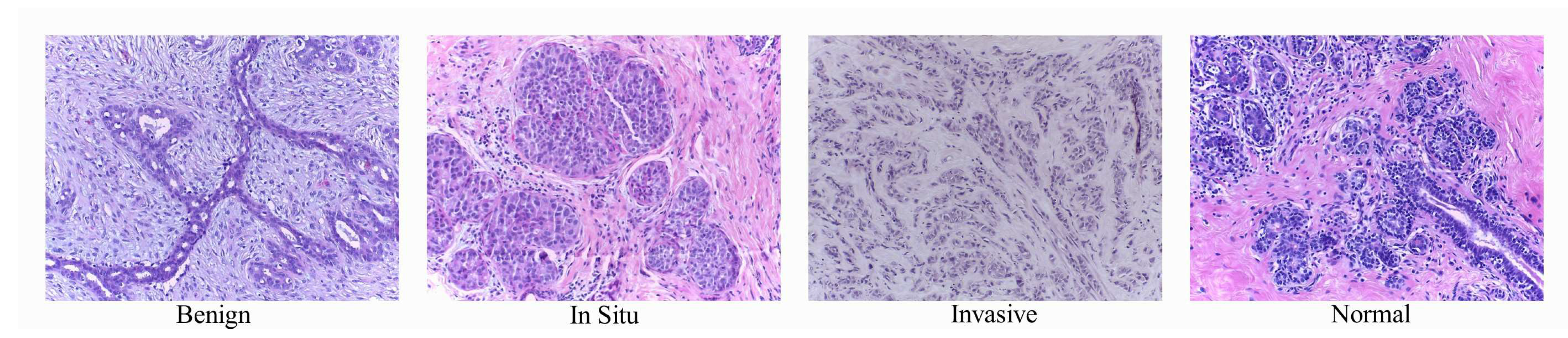 Cancers 11 01901 g001 Cancers 11 01901 g001