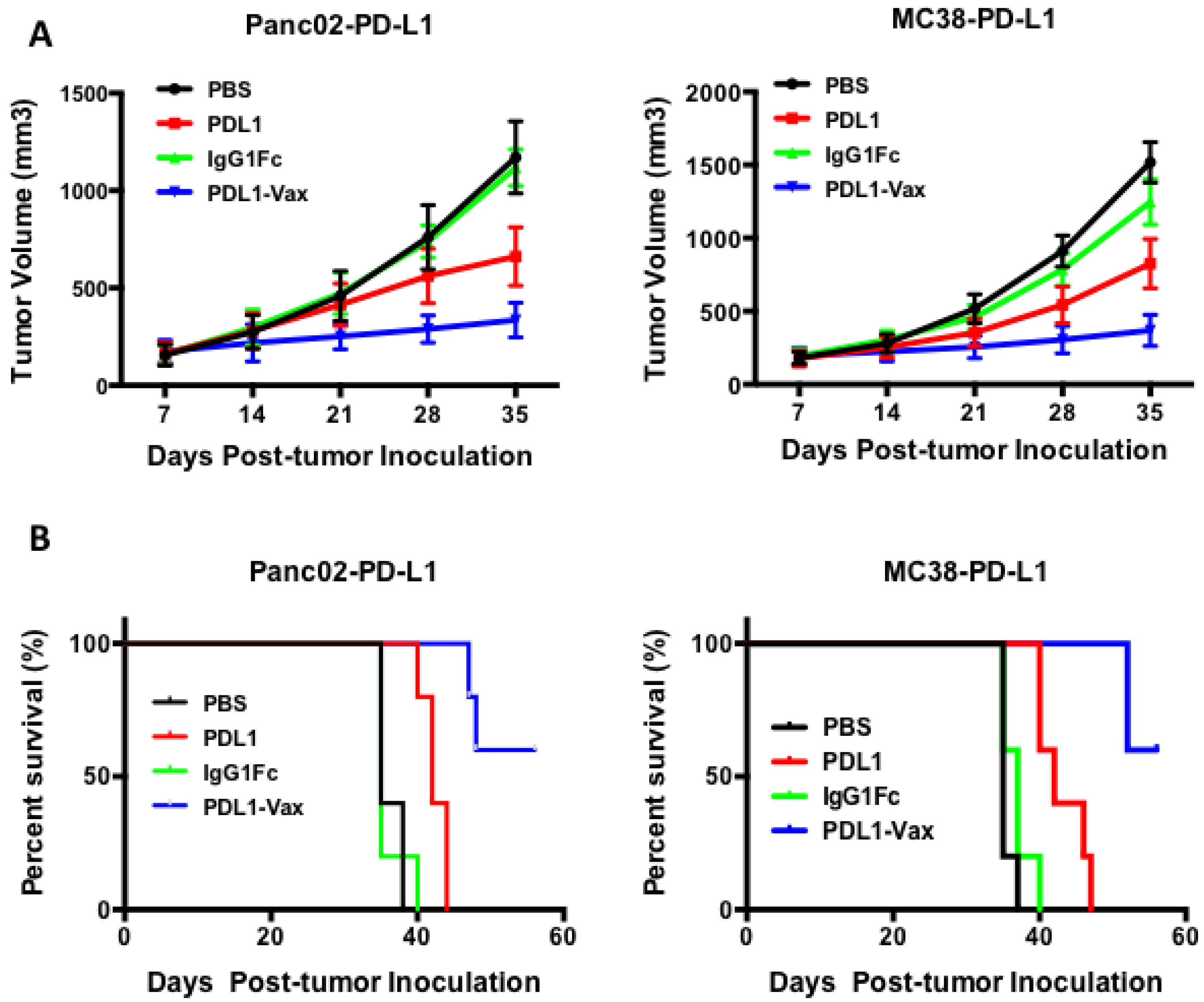 Cancers 11 01909 g007 Cancers 11 01909 g007